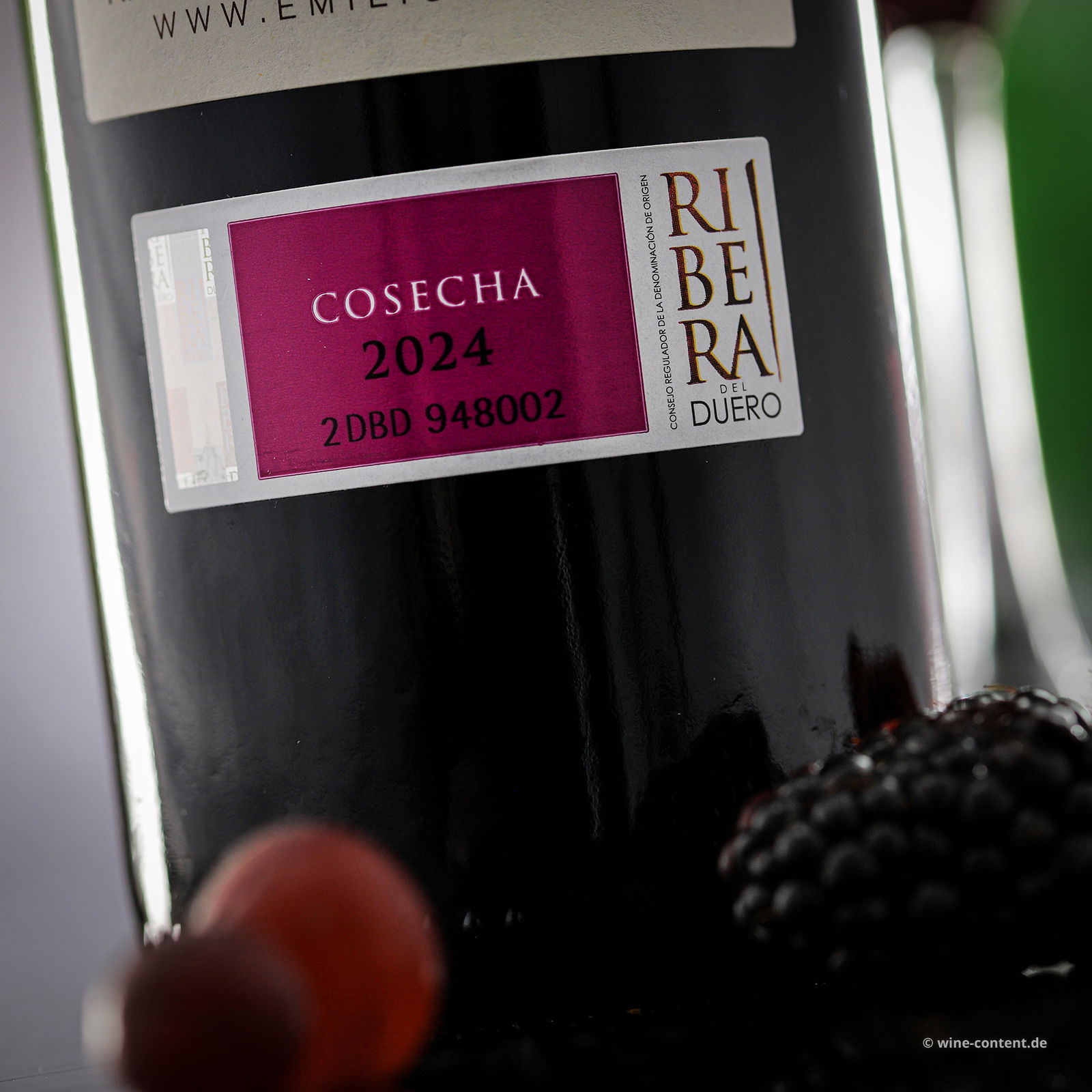 Tempranillo 2024 Finca Resalso