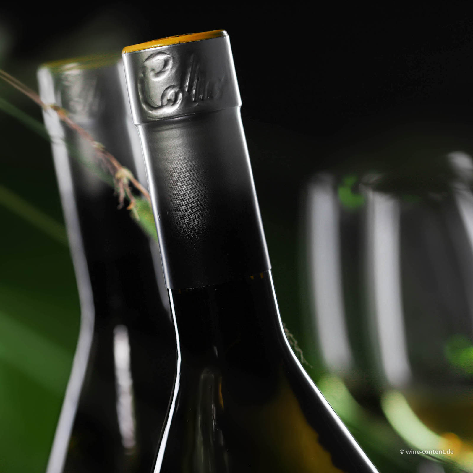 Sauvignon Blanc 2024 Collio