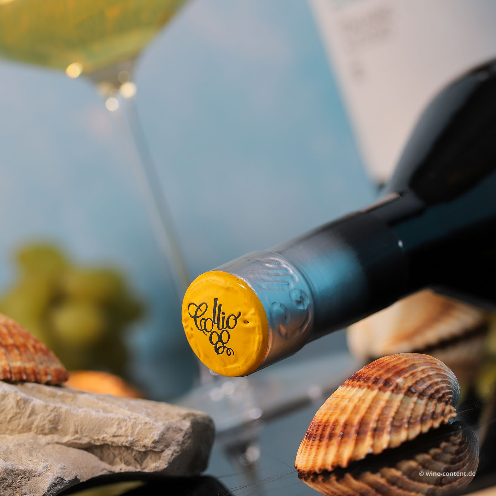 Malvasia Collio 2025