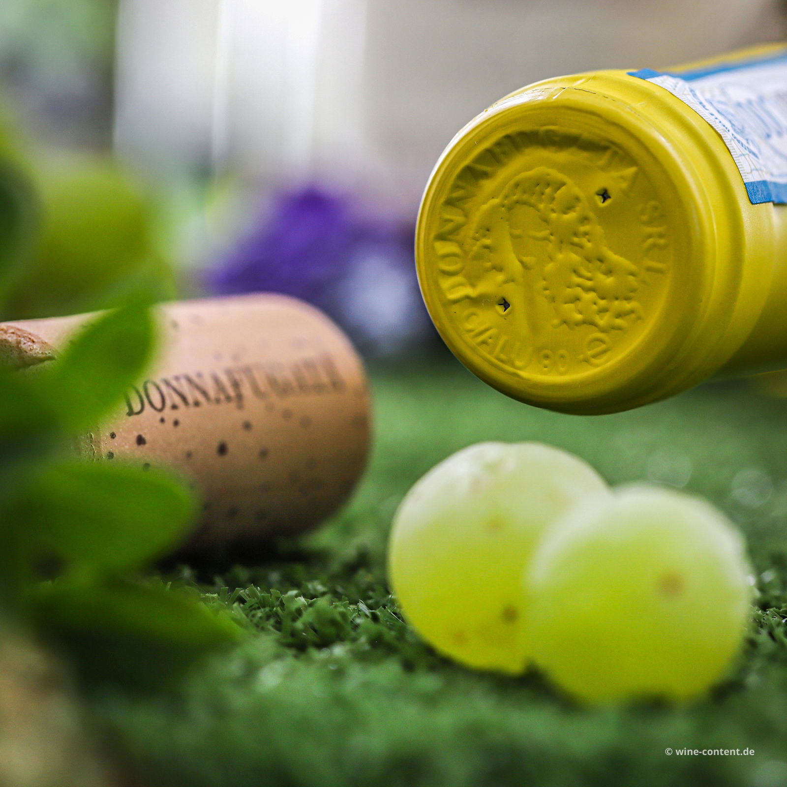 6er-Sparpaket Grillo Sicilia 2024 Passiperduti