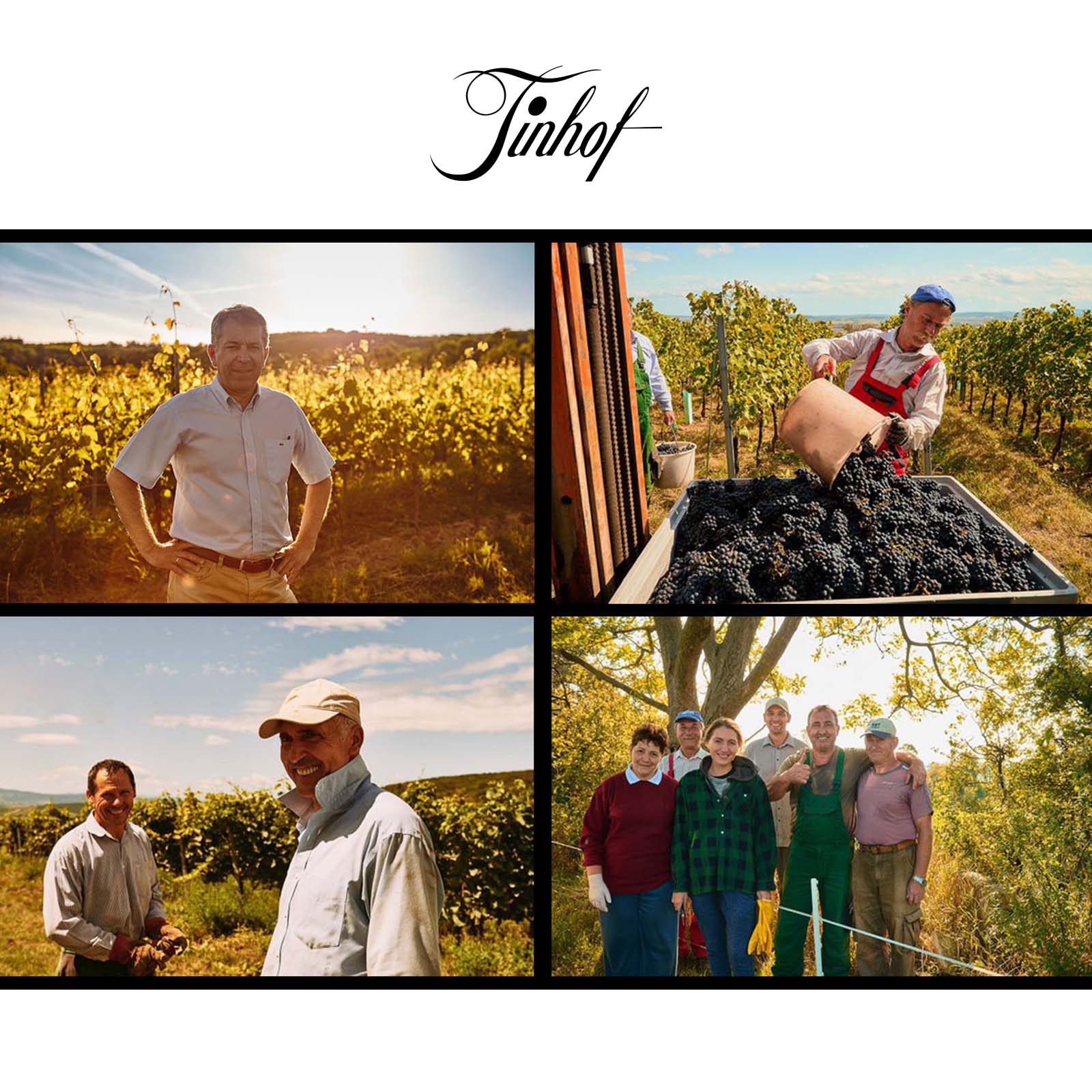 Blaufränkisch 2019 Ried Kirchberg Gloriette Bio