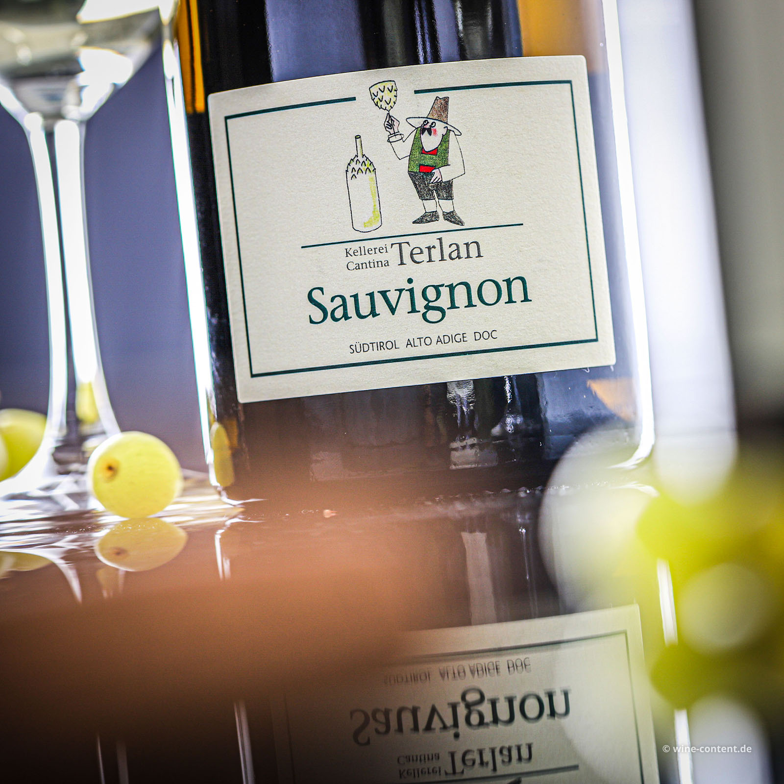 Sauvignon Blanc 2025