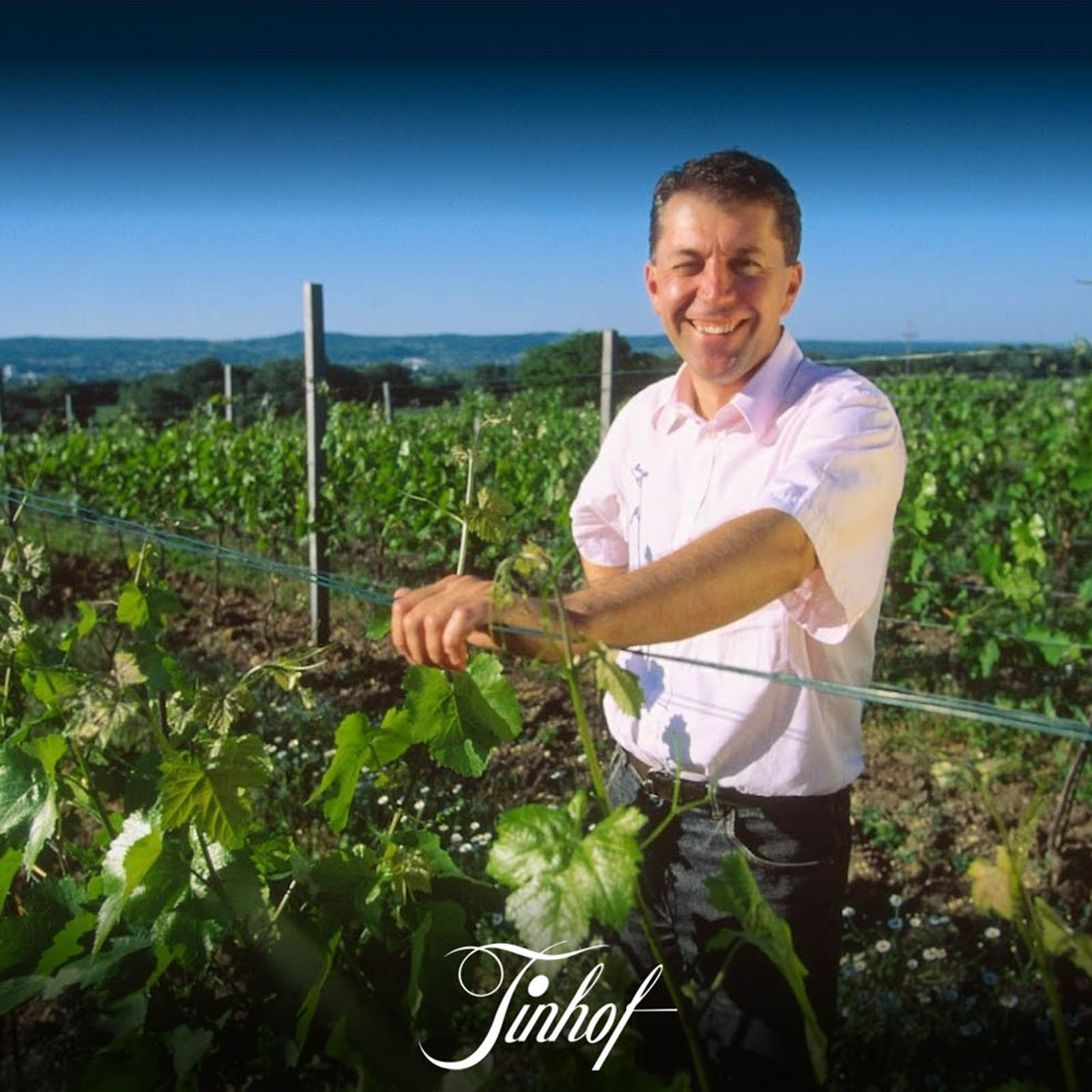 Neuburger 2020 Ried Golden Erd Bio