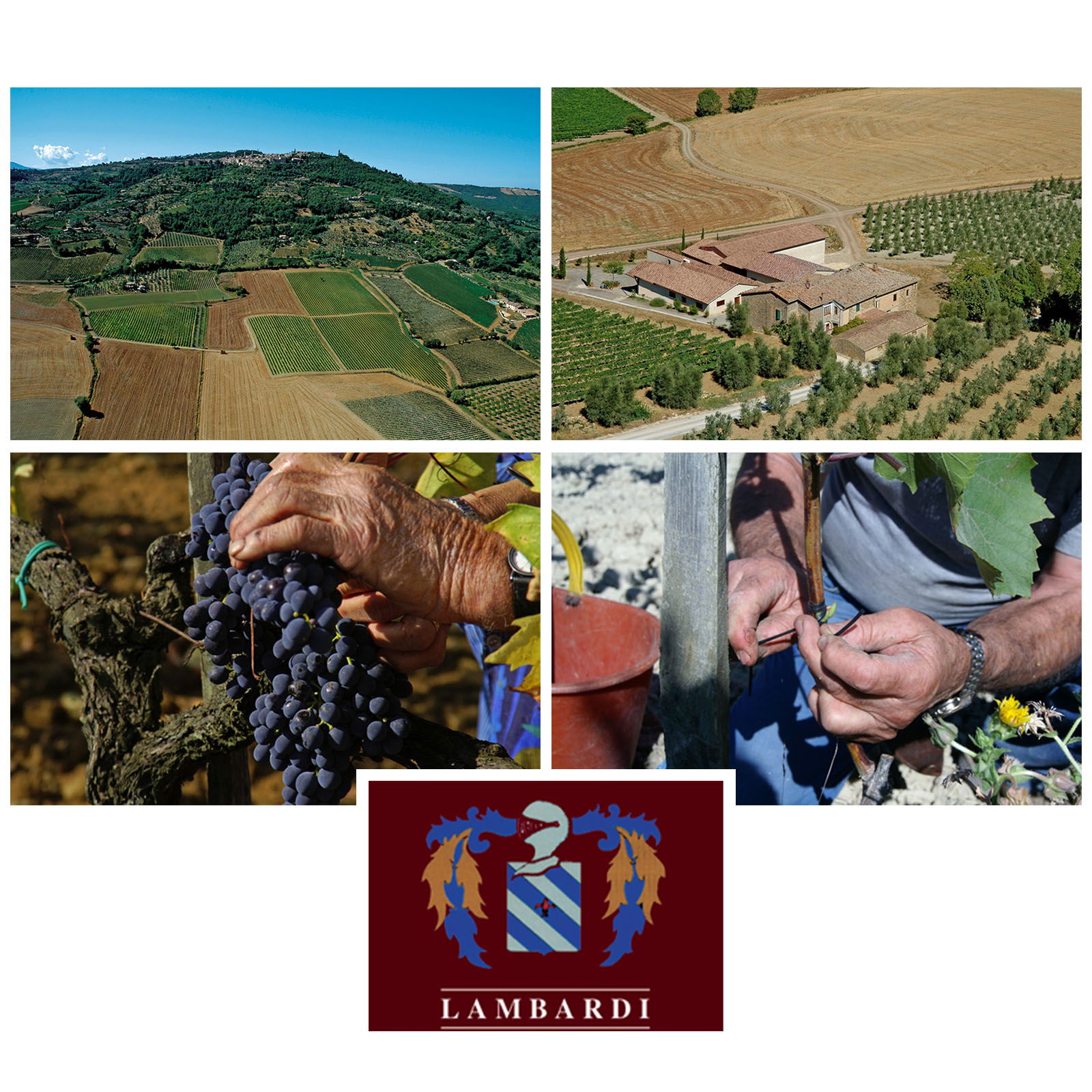 Brunello di Montalcino 2018
