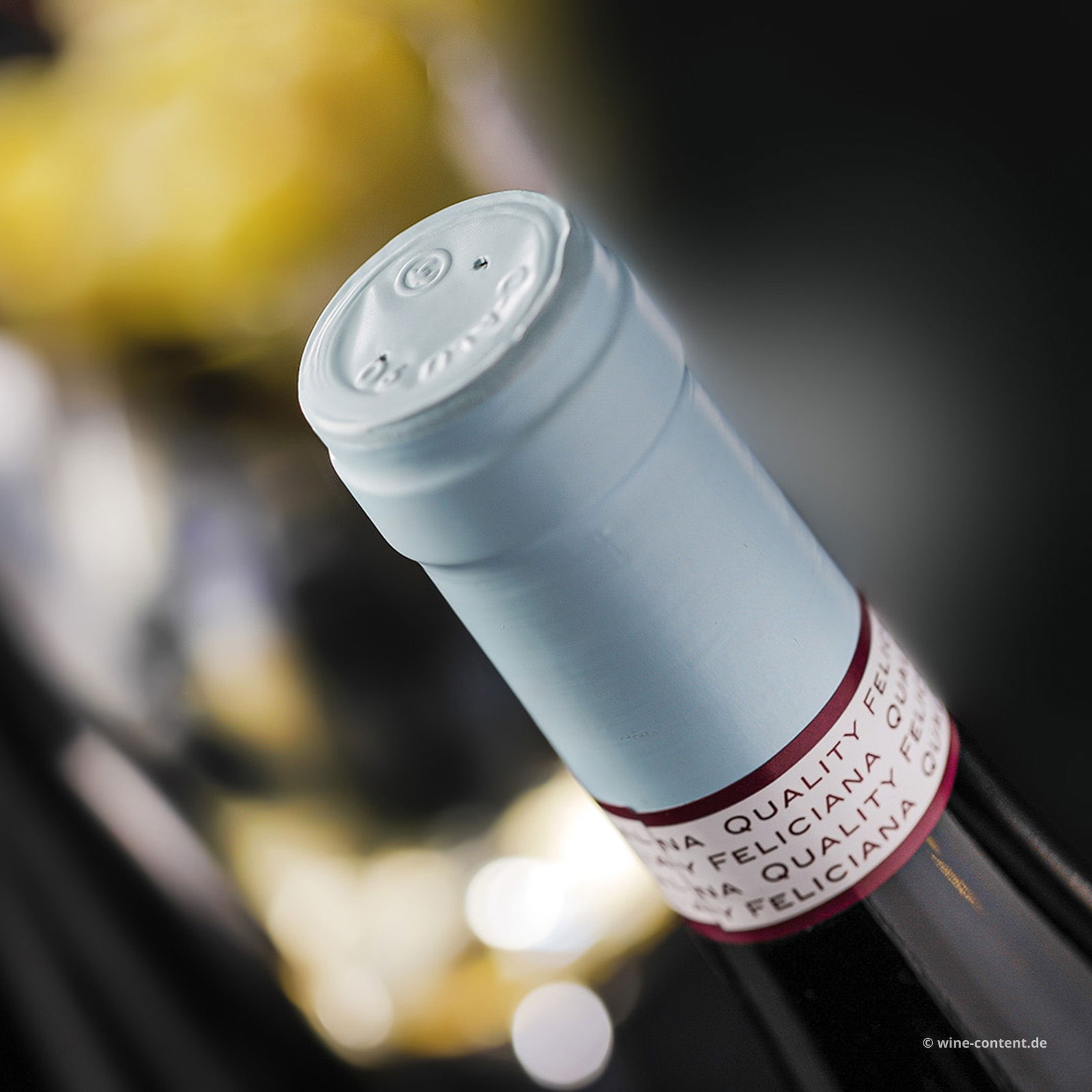 San Martino della Battaglia 2025 Torfel