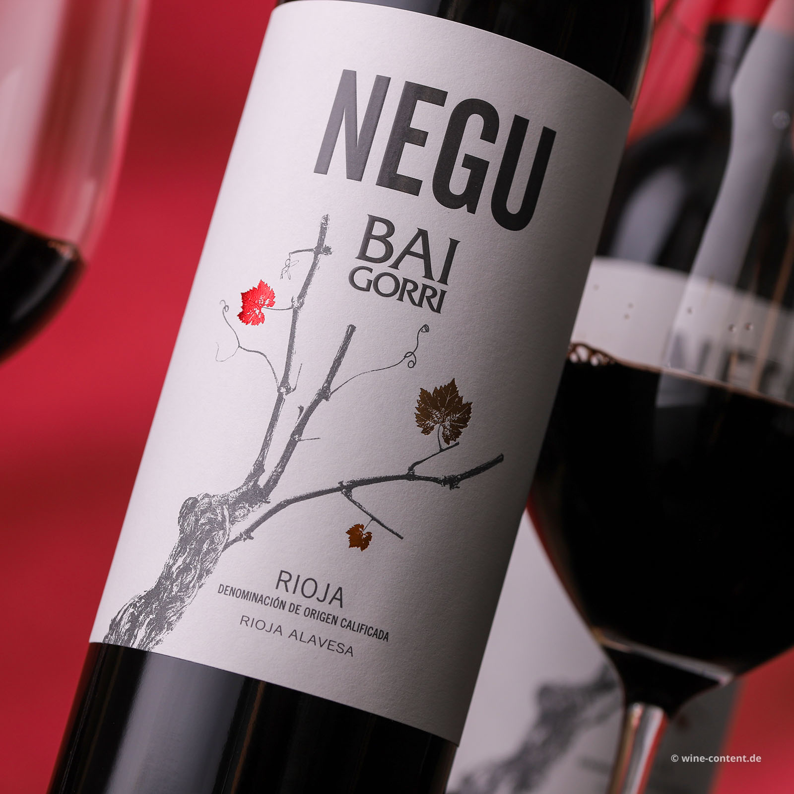 Rioja 2025 Negu