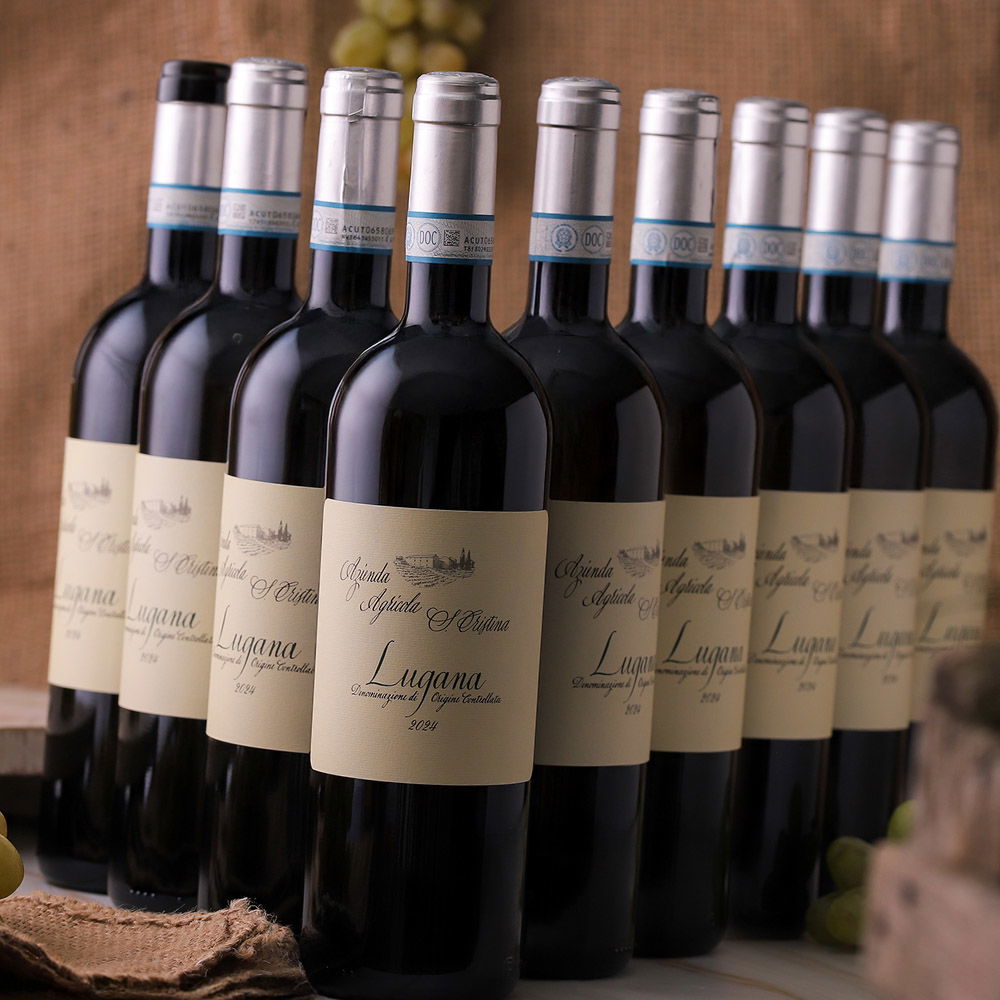 9er-Sparpaket Lugana 2024 Santa Cristina