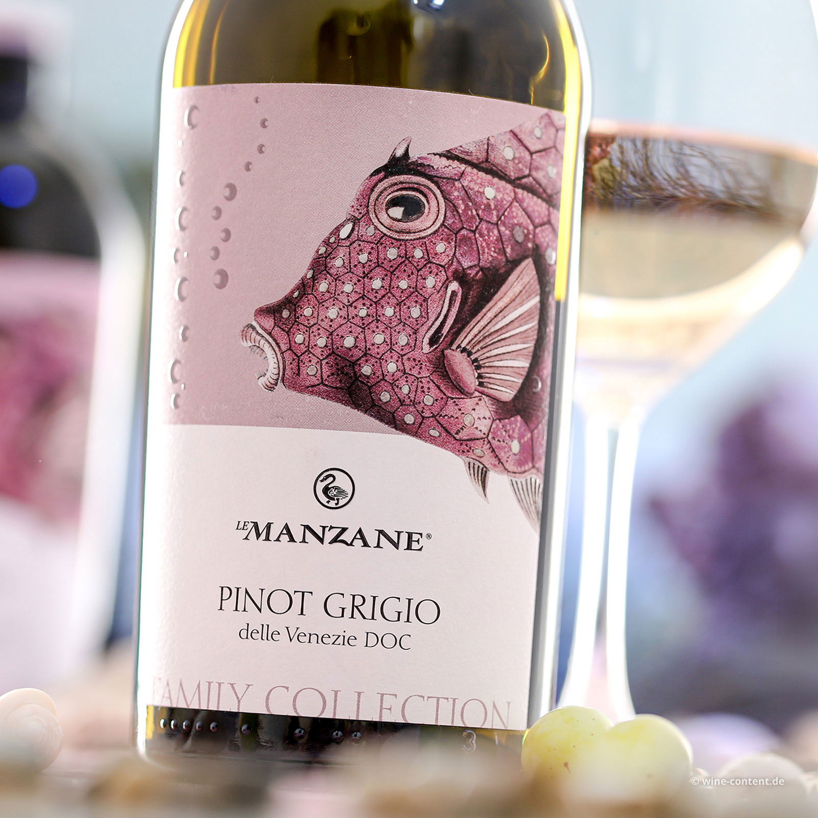 Pinot Grigio delle Venezie 2025