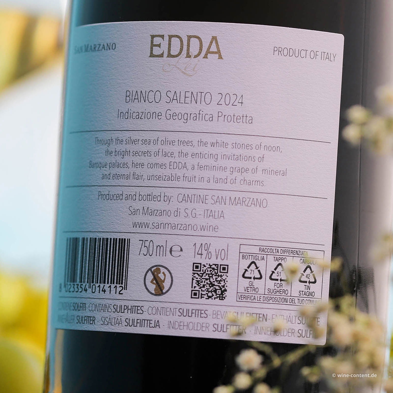 Salento Bianco 2024 Edda (Lagerschaden) Salento Bianco 2024 Edda (Lagerschaden)