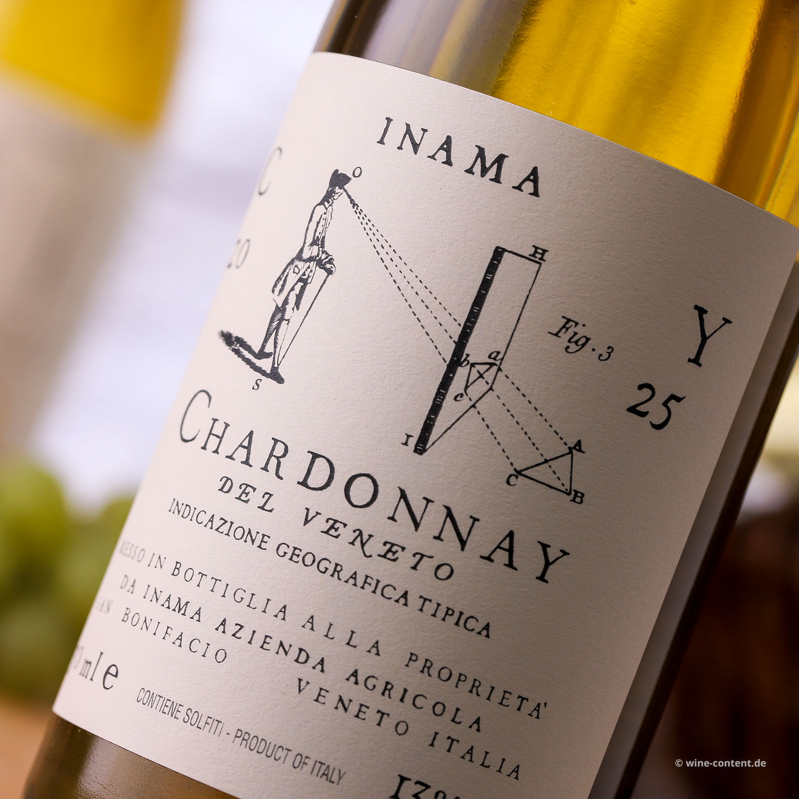 Chardonnay del Veneto 2025