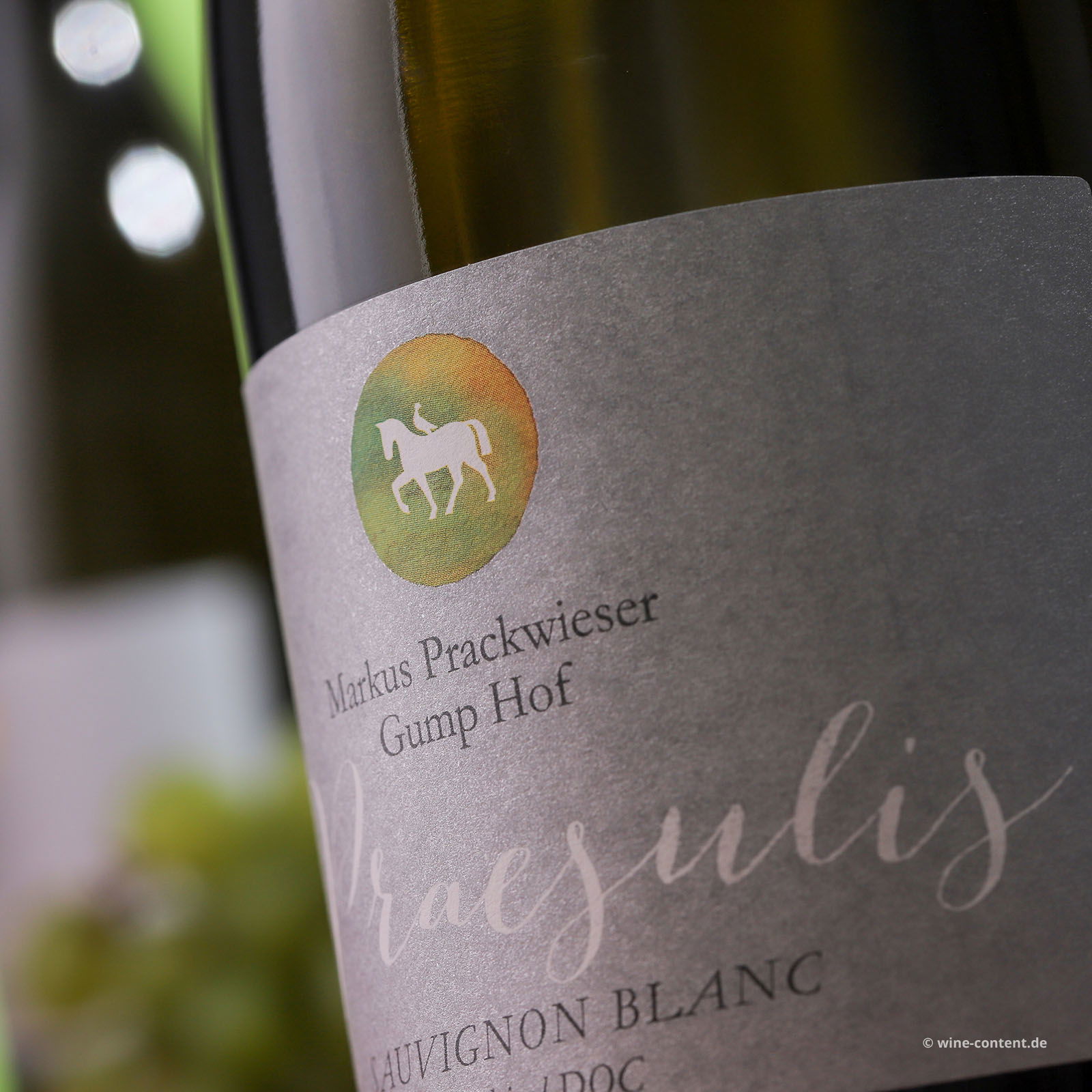 Sauvignon Blanc 2023 Praesulis