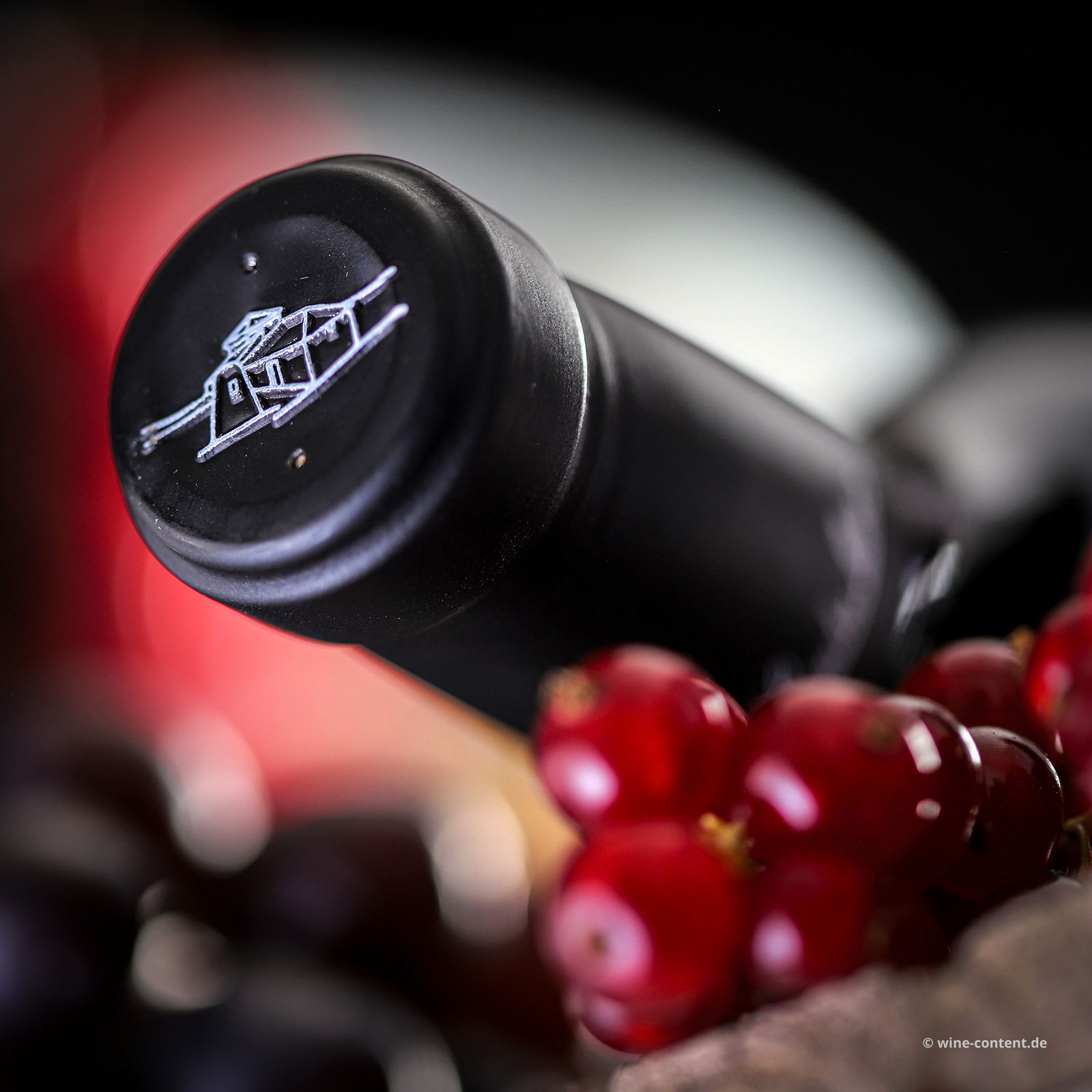 Tempranillo 2022 Vendimia Seleccionada