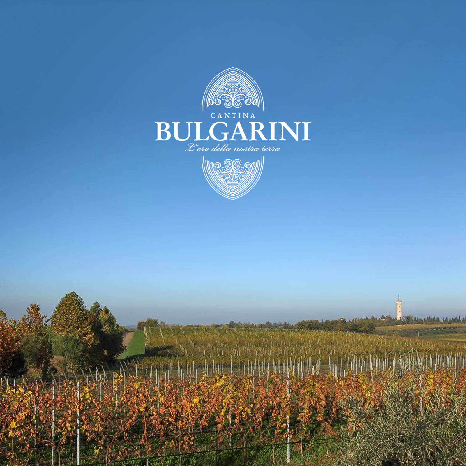Rosso Bruno 2021