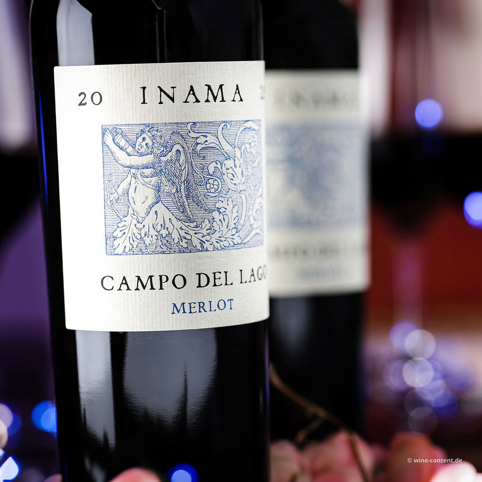 Merlot 2022 Campo del Lago