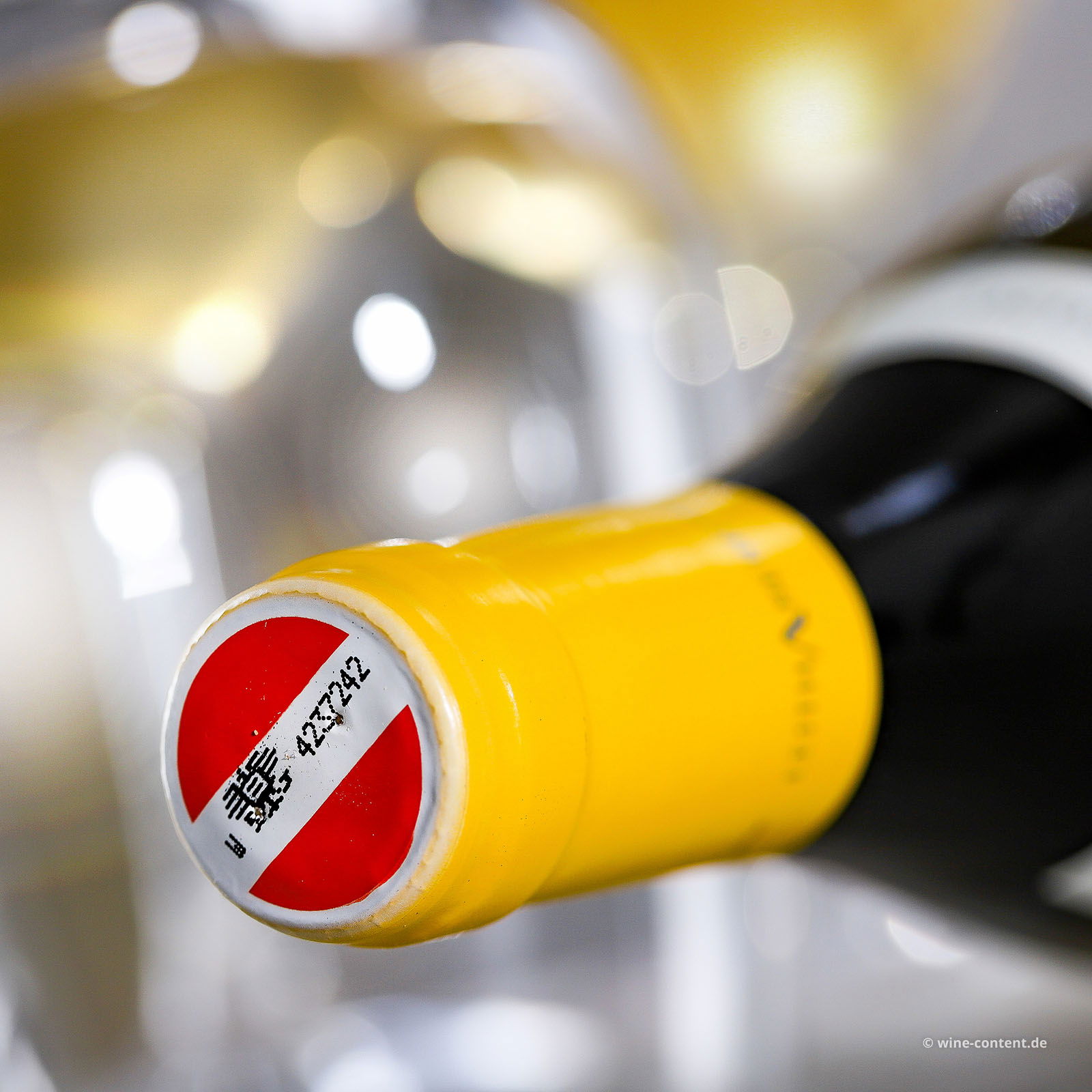 Weißburgunder 2020 Ried Golden Erd Bio