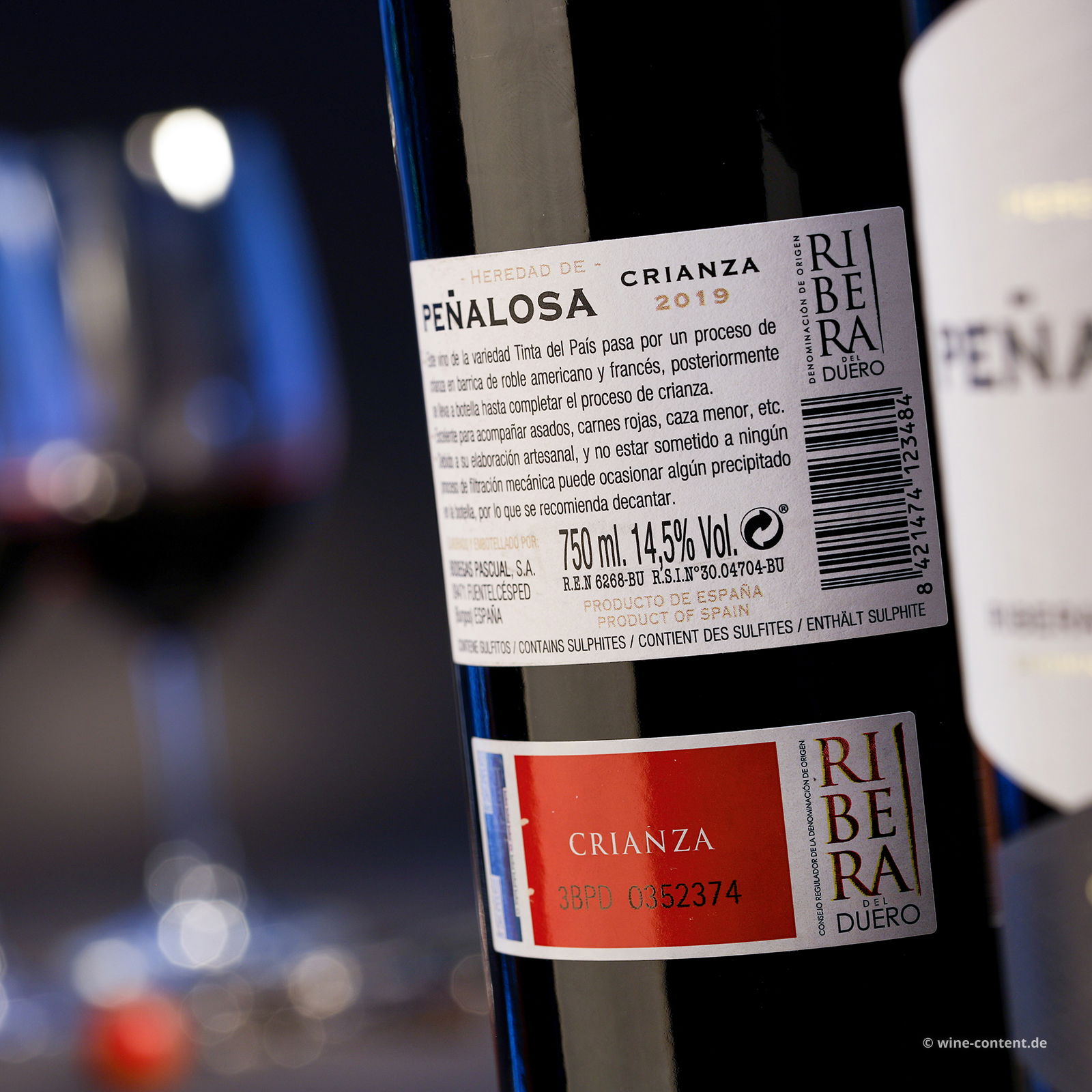 Tempranillo Crianza 2019 Peñalosa