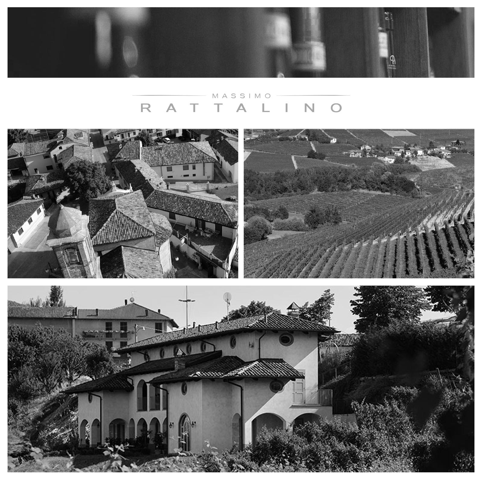 Arneis Langhe 2025 TEN