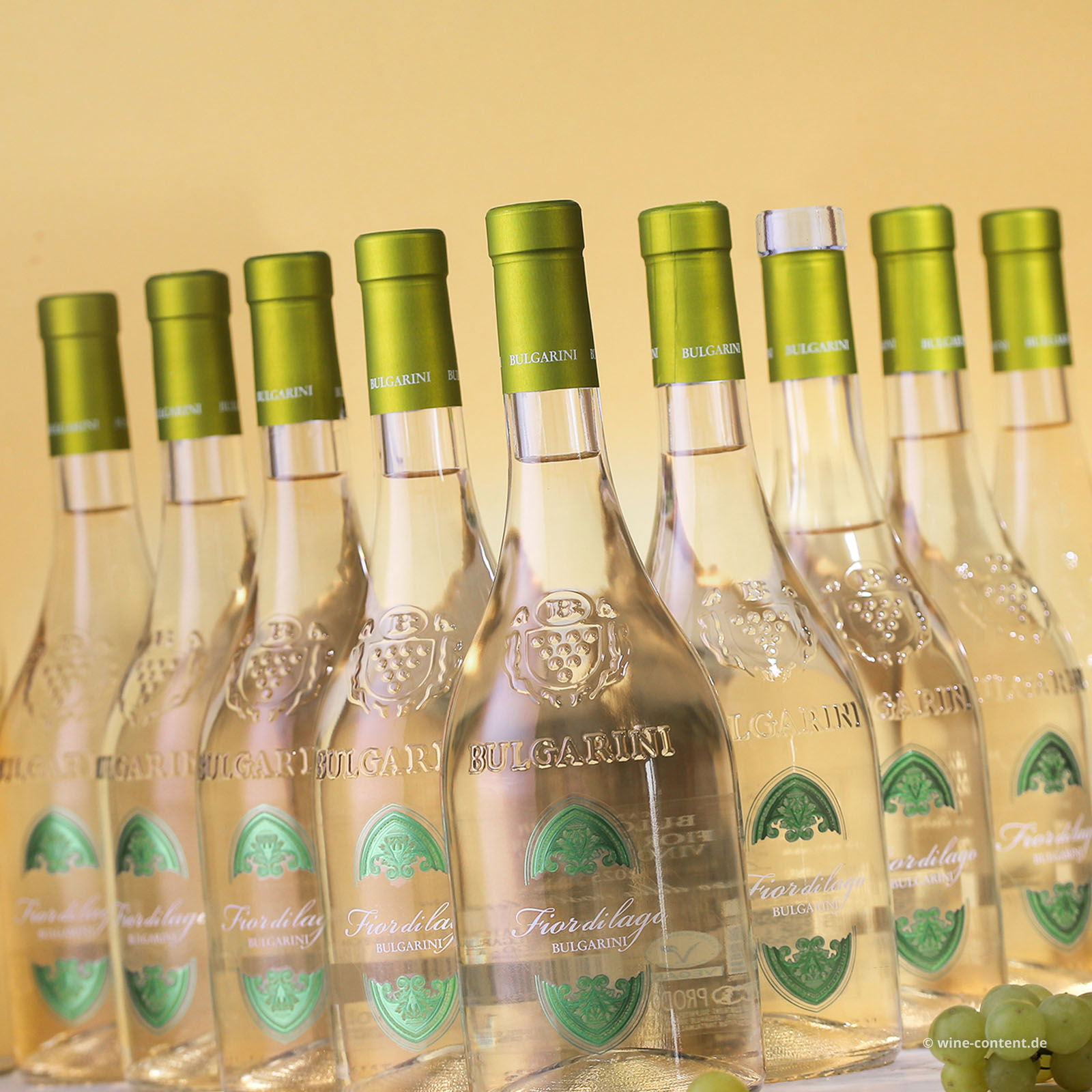 9er-Sparpaket Fior di Lago 2025