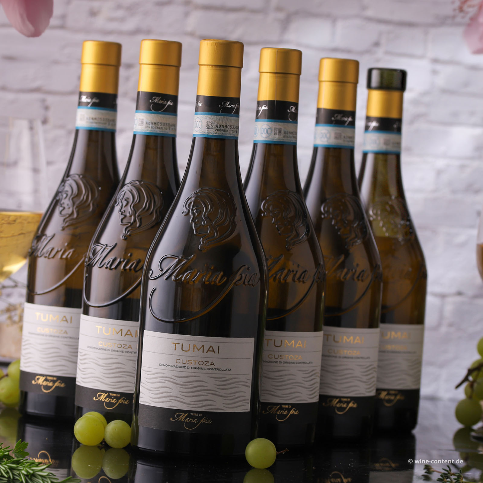 6er-Sparpaket Custoza 2025 Tumai