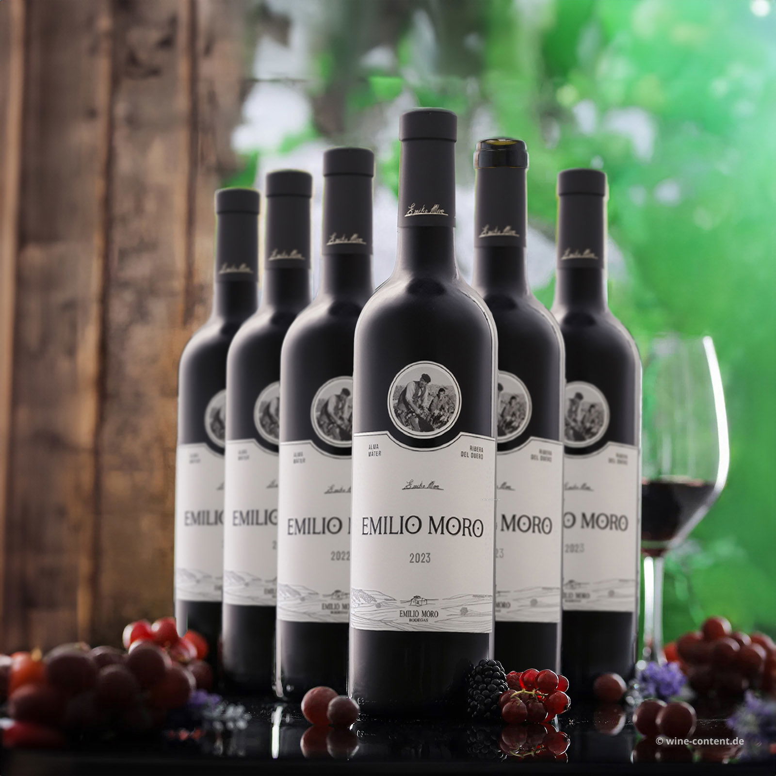 6er-Sparpaket Tempranillo 2023 Emilio Moro