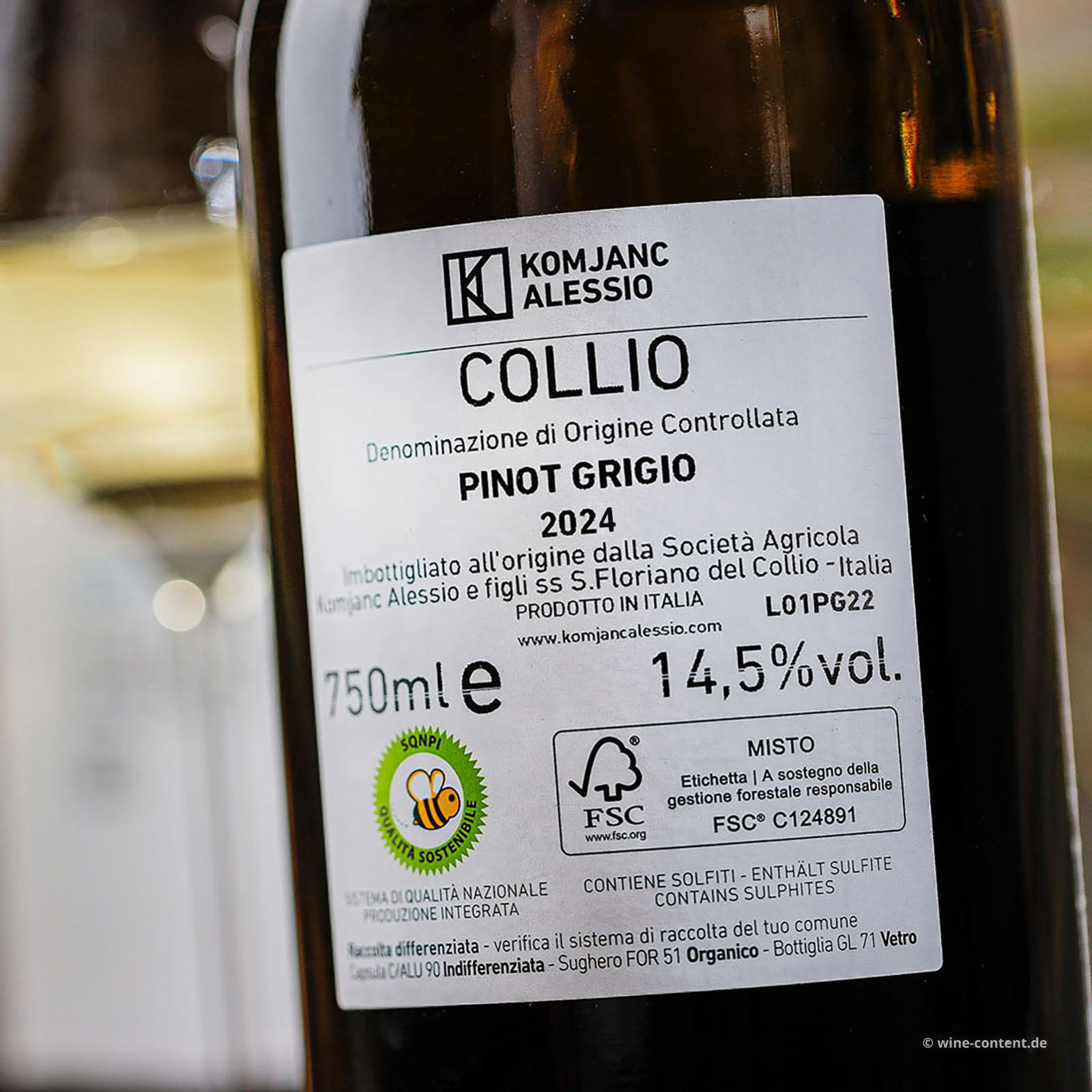 Pinot Grigio Collio 2024