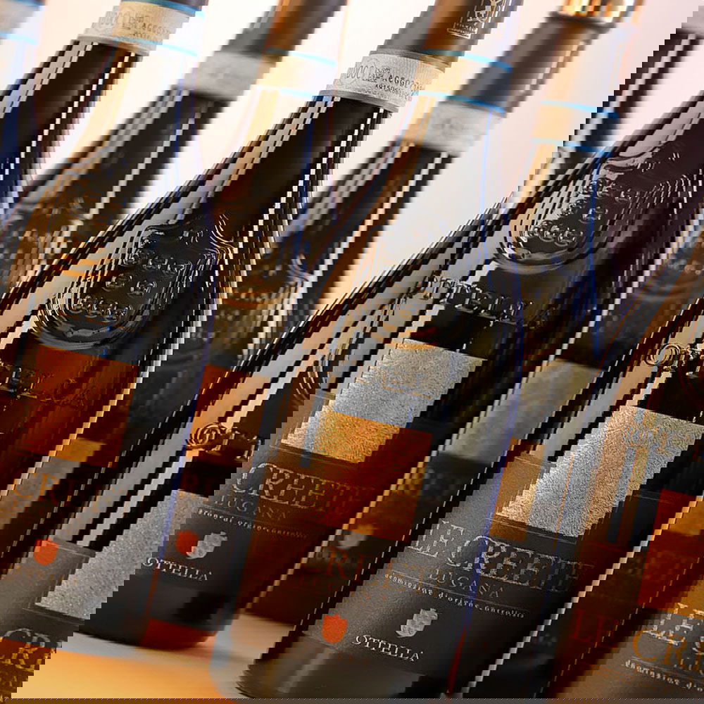 9er-Sparpaket Lugana 2024 Le Creete 9er-Sparpaket Lugana 2024 Le Creete