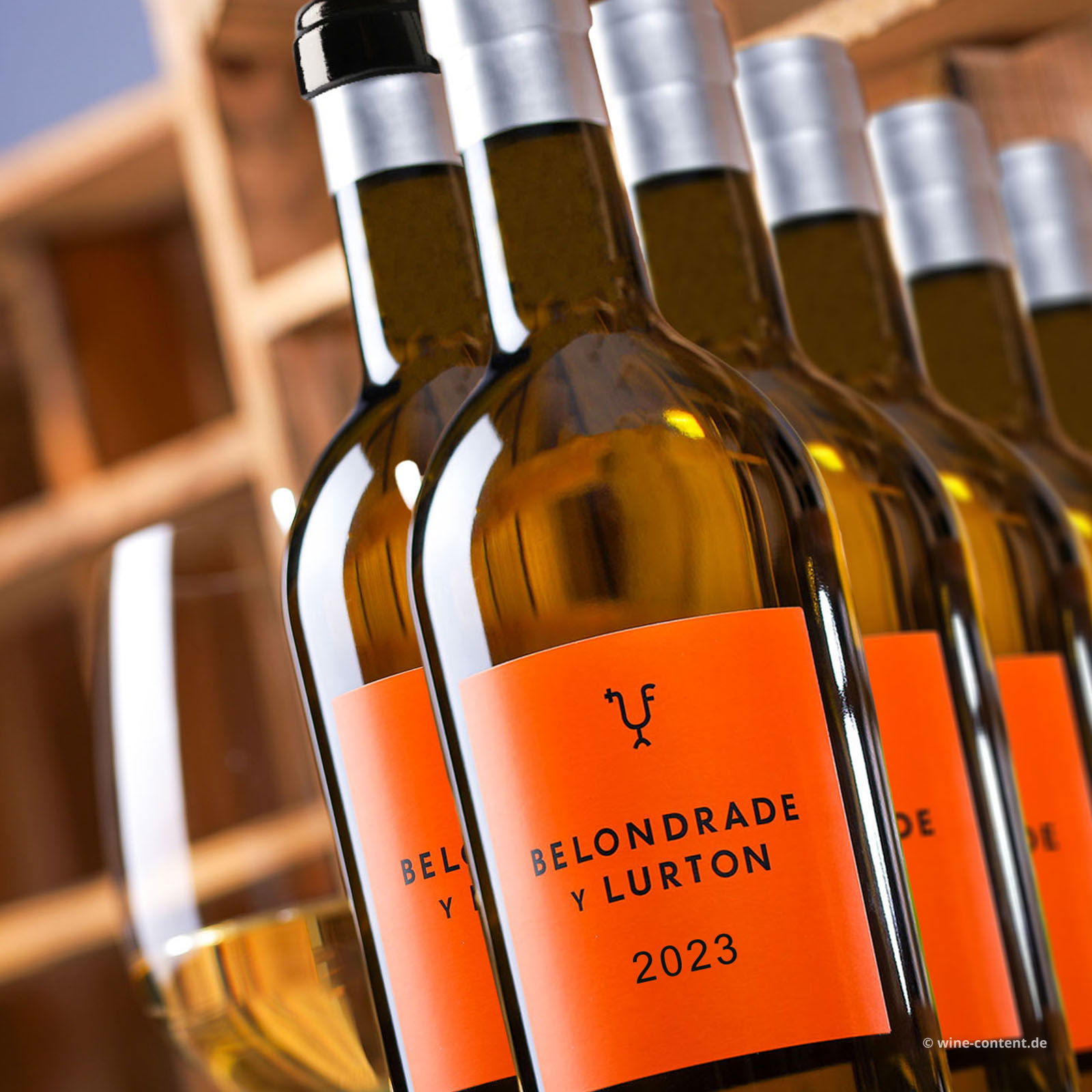6er-Sparpaket Verdejo 2023 Belondrade y Lurton Bio