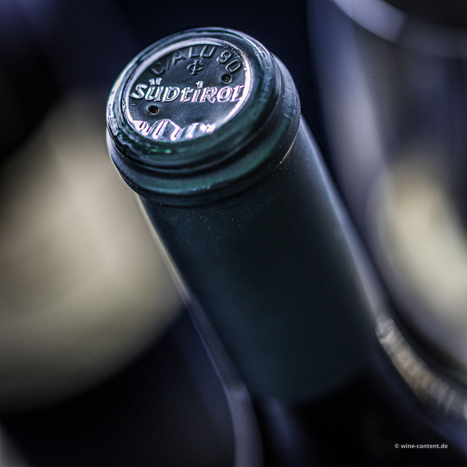 Sauvignon Blanc 2025