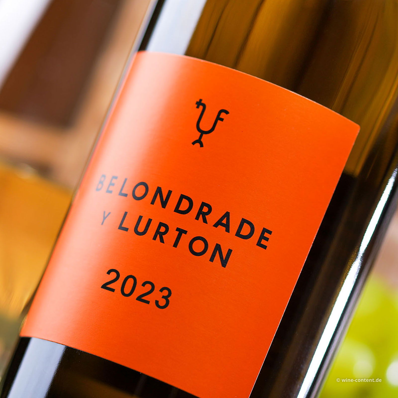 Verdejo 2023 Belondrade y Lurton Bio