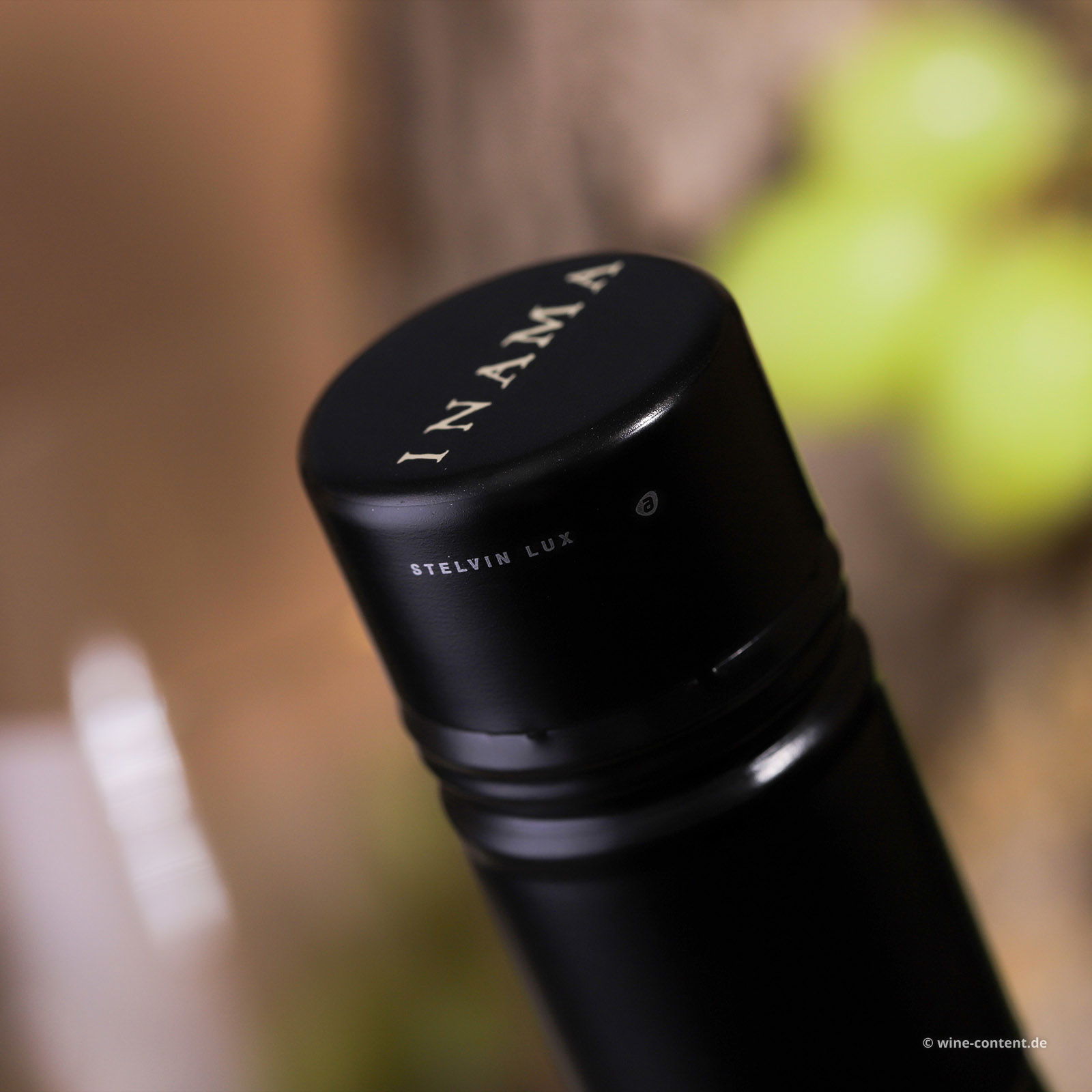 Sauvignon del Veneto 2024 Vulcaia