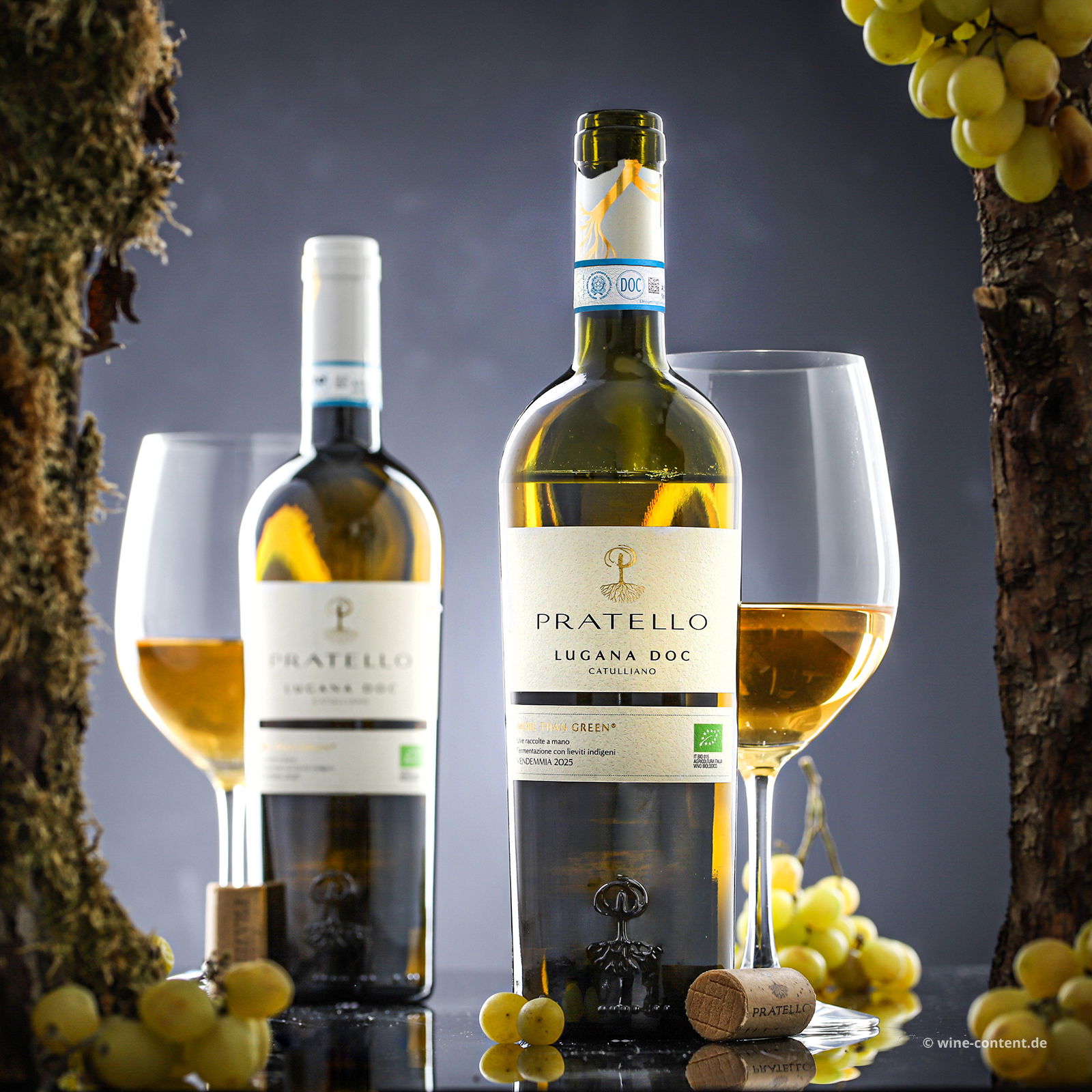 Lugana 2025 Catulliano Bio