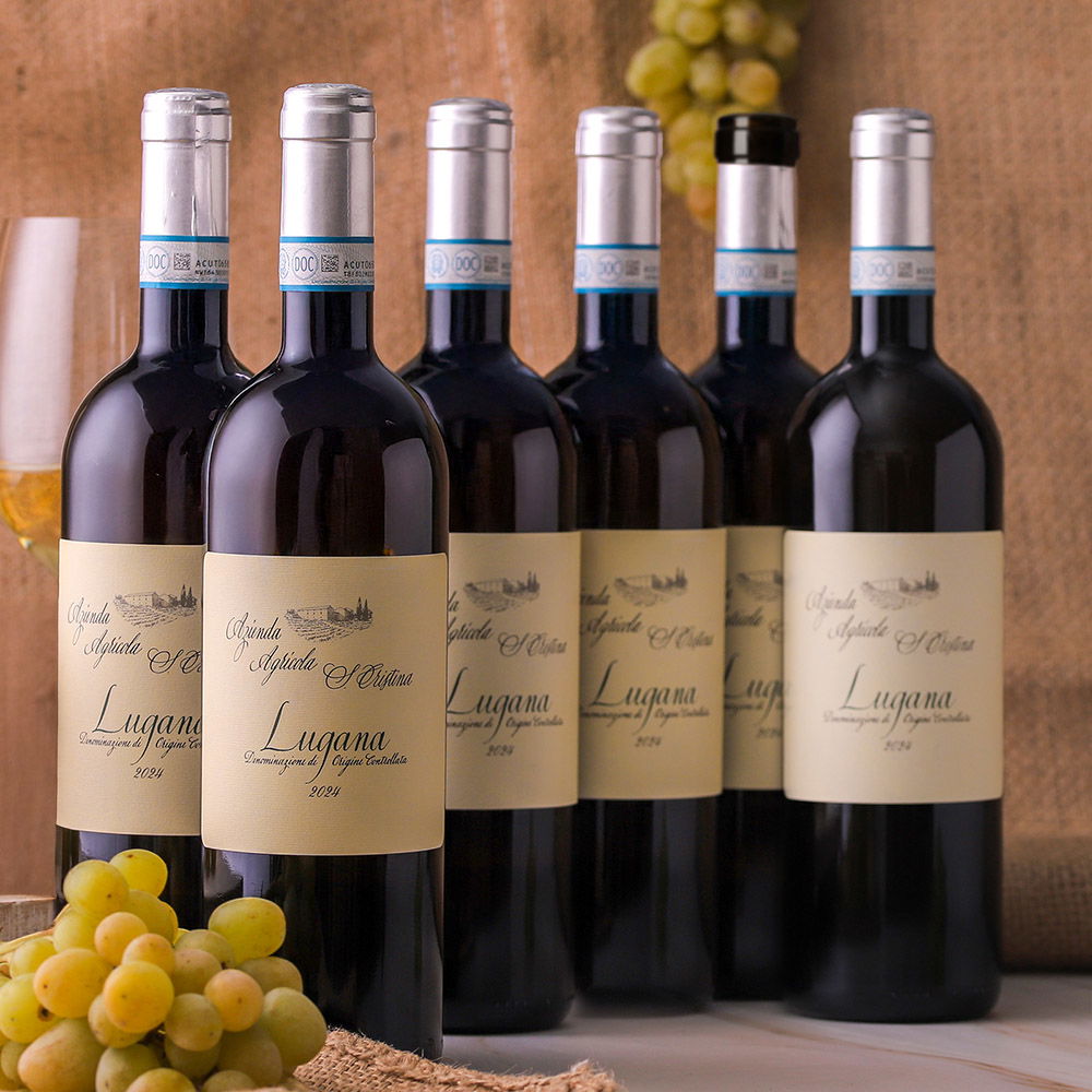 6er-Sparpaket Lugana 2024 Santa Cristina