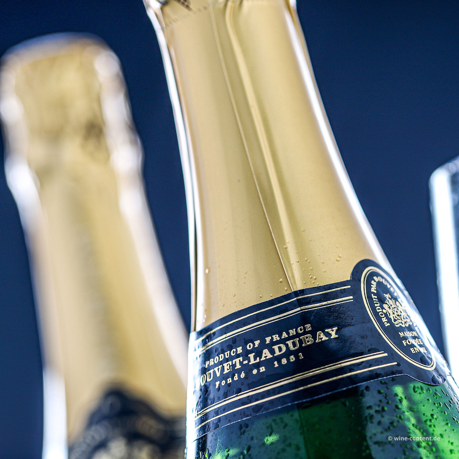 Crémant de Loire Excellence Brut