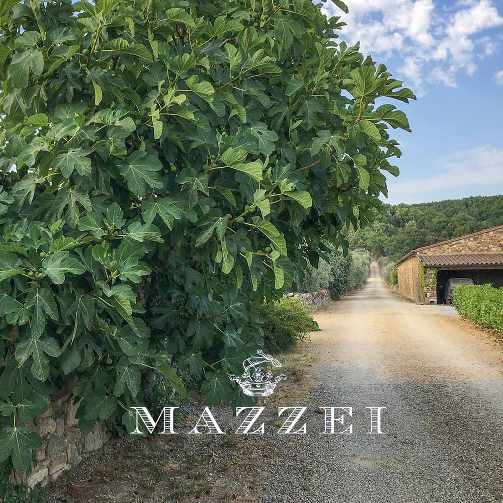 Vermentino Maremma Toscana 2025 Belguardo