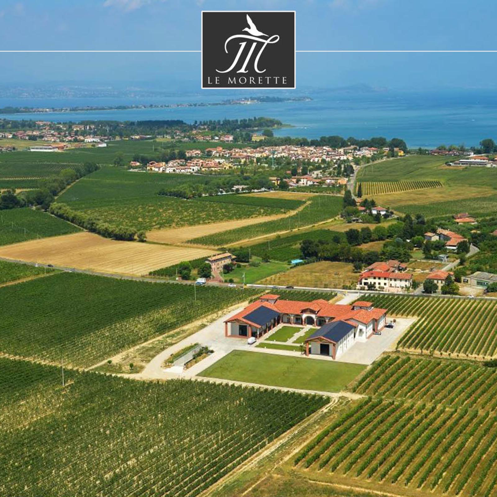 6er-Sparpaket Chiaretto di Bardolino Classico 2024