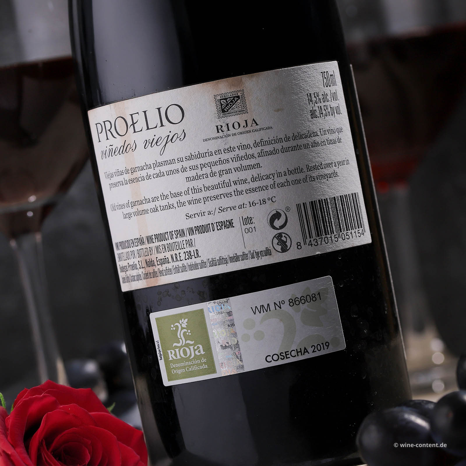 Rioja 2019 Garnacha Vinedos Viejos