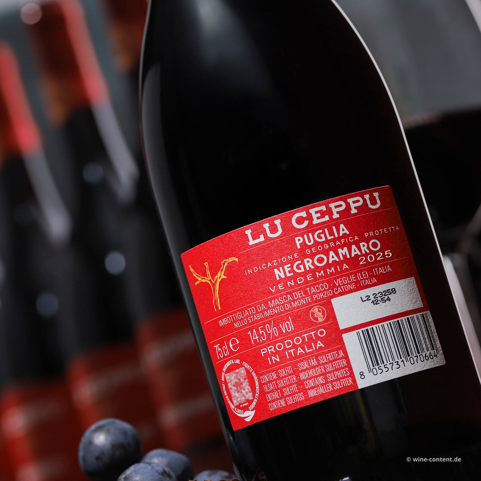 6er-Sparpaket Negroamaro 2025 Lu Ceppu