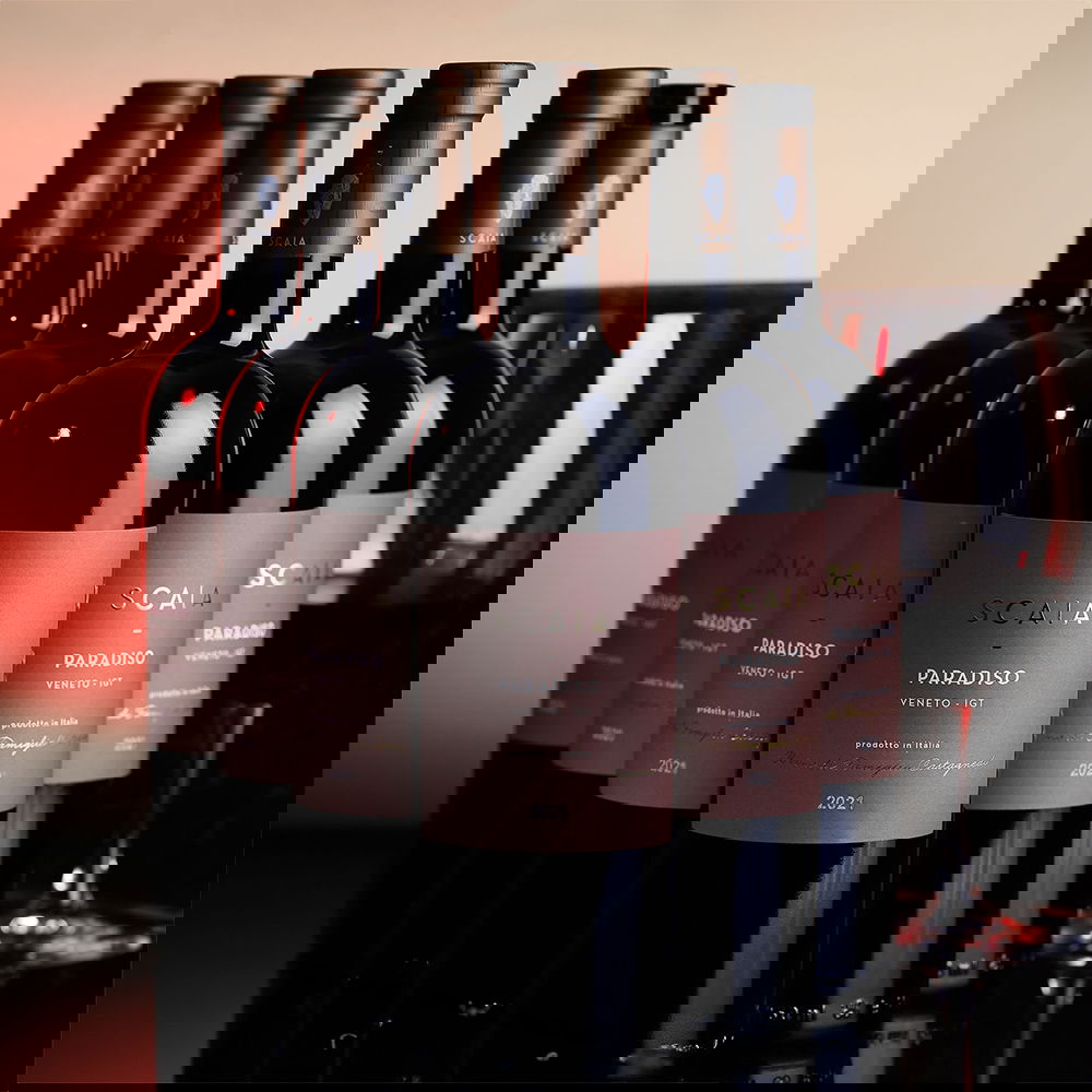 6er-Sparpaket Scaia Rosso 2021 Paradiso