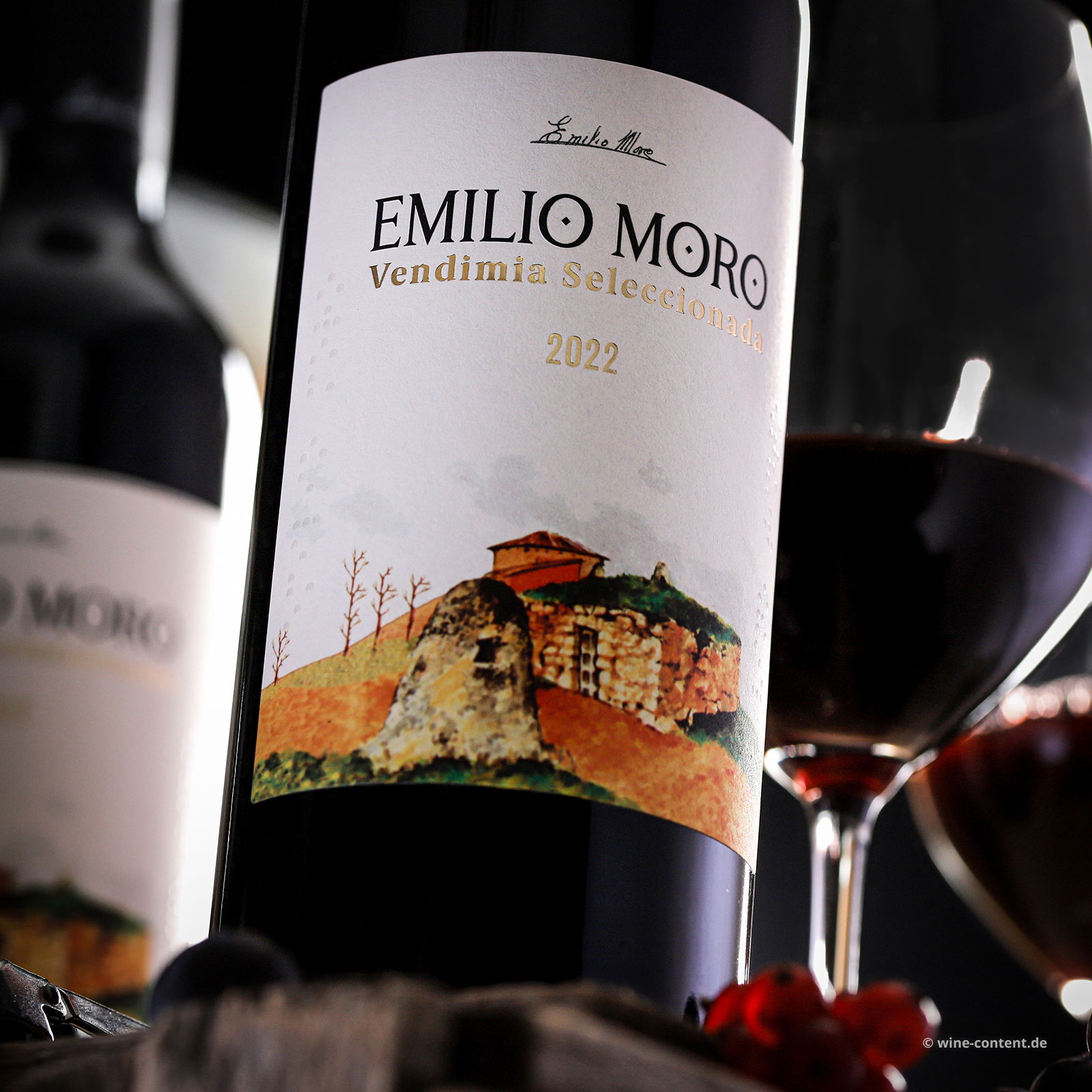 Tempranillo 2022 Vendimia Seleccionada