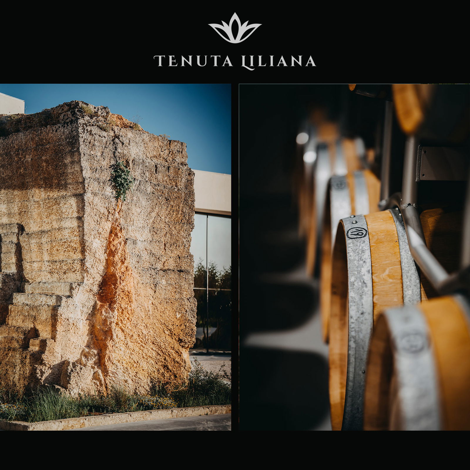 Cabernet Sauvignon Salento 2023