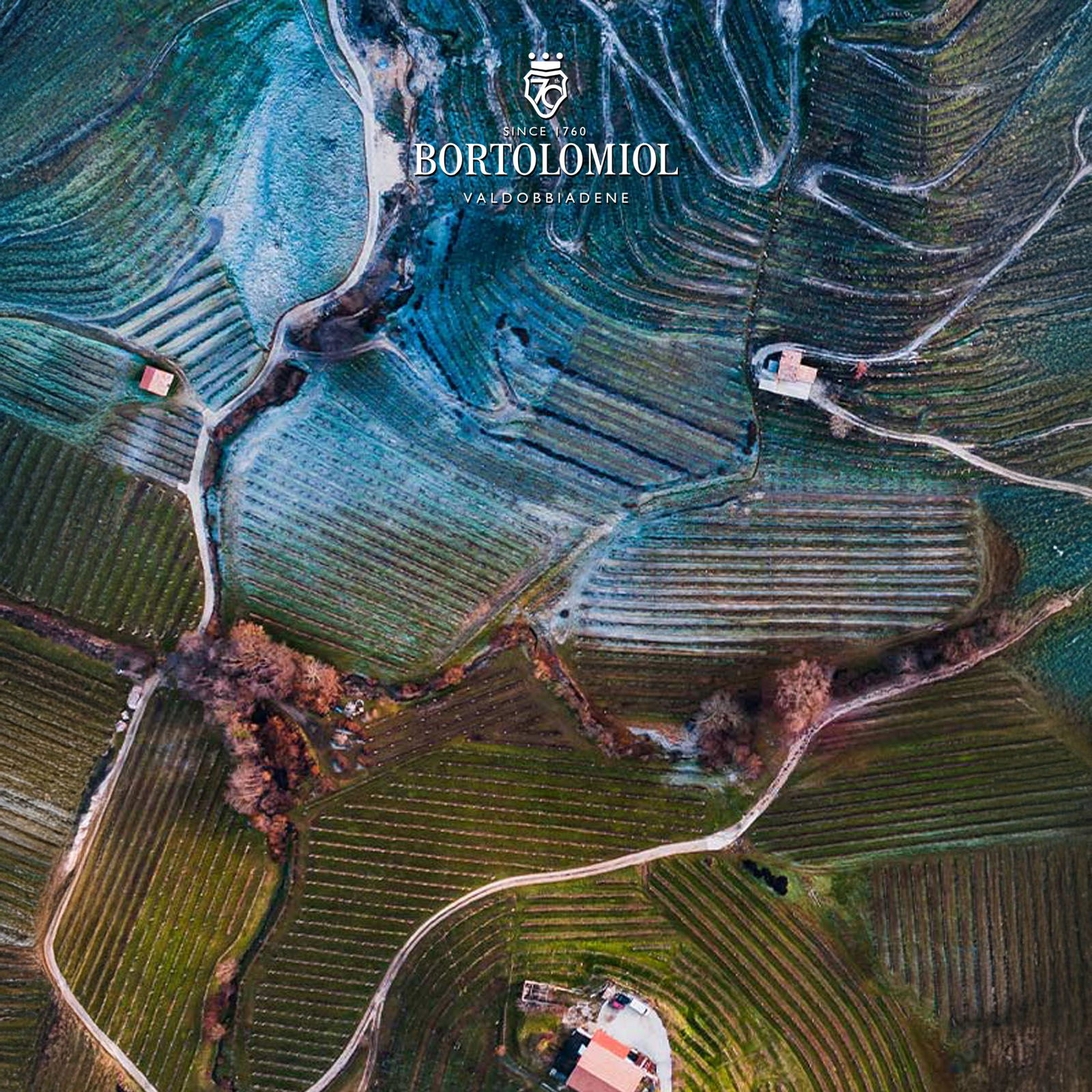 Prosecco Valdobbiadene Superiore 2023 Bandarossa Vigna di Collagù Extra Dry