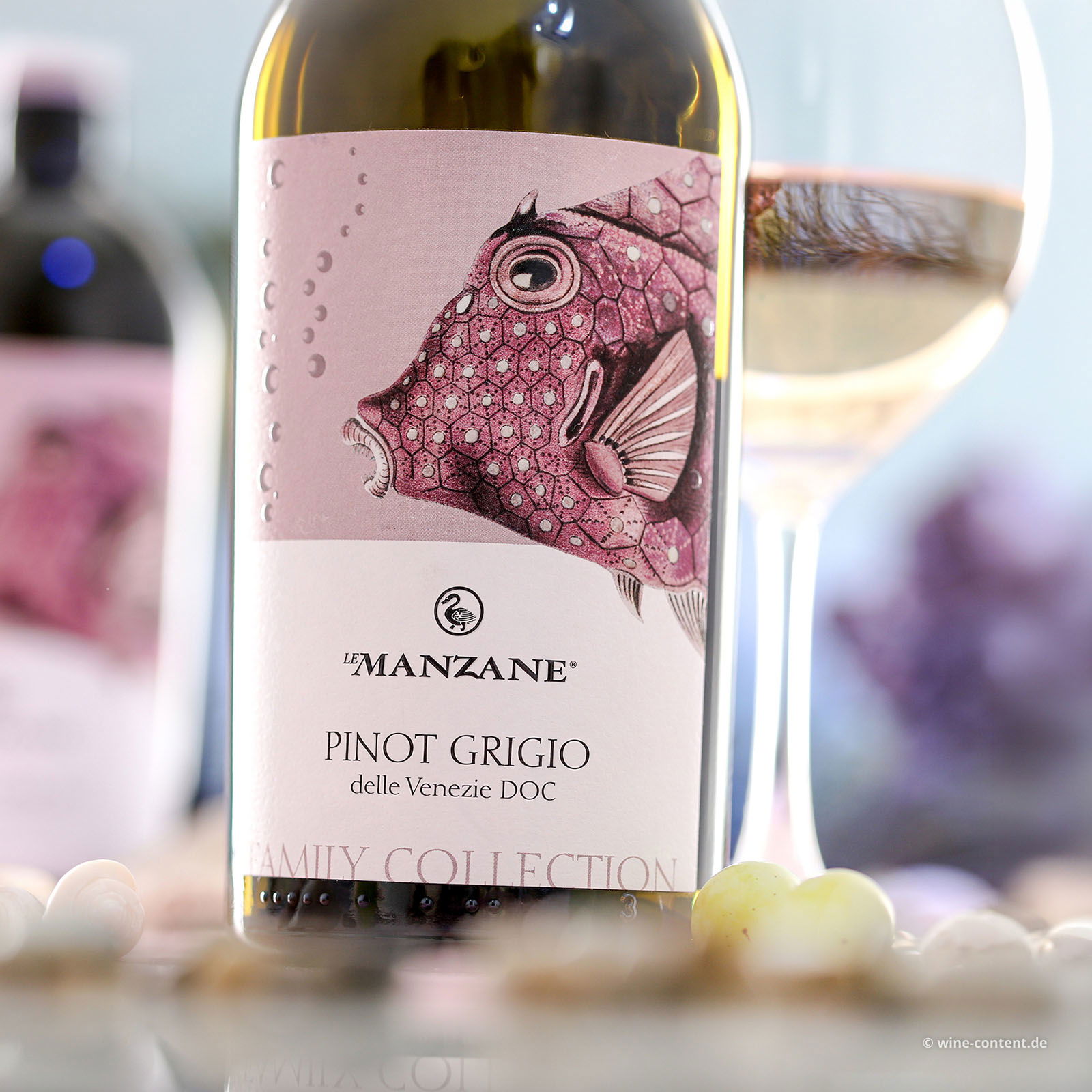 Pinot Grigio delle Venezie 2025