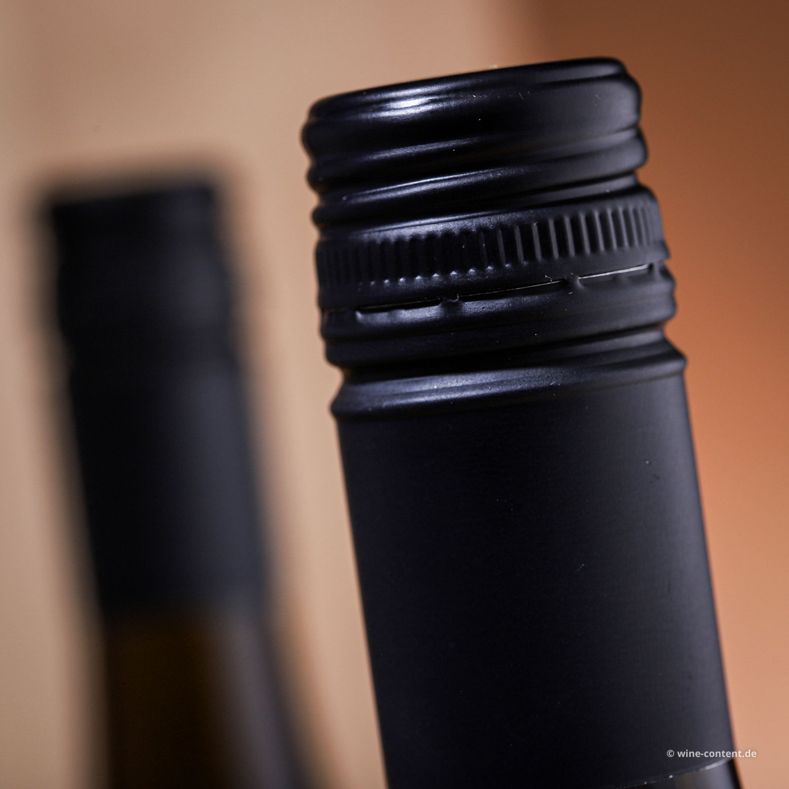 Weißer Burgunder 2025 Federblatt Bio