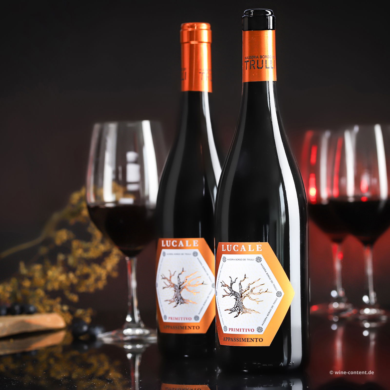 Primitivo Appassimento 2023 Lucale Primitivo Appassimento 2023 Lucale