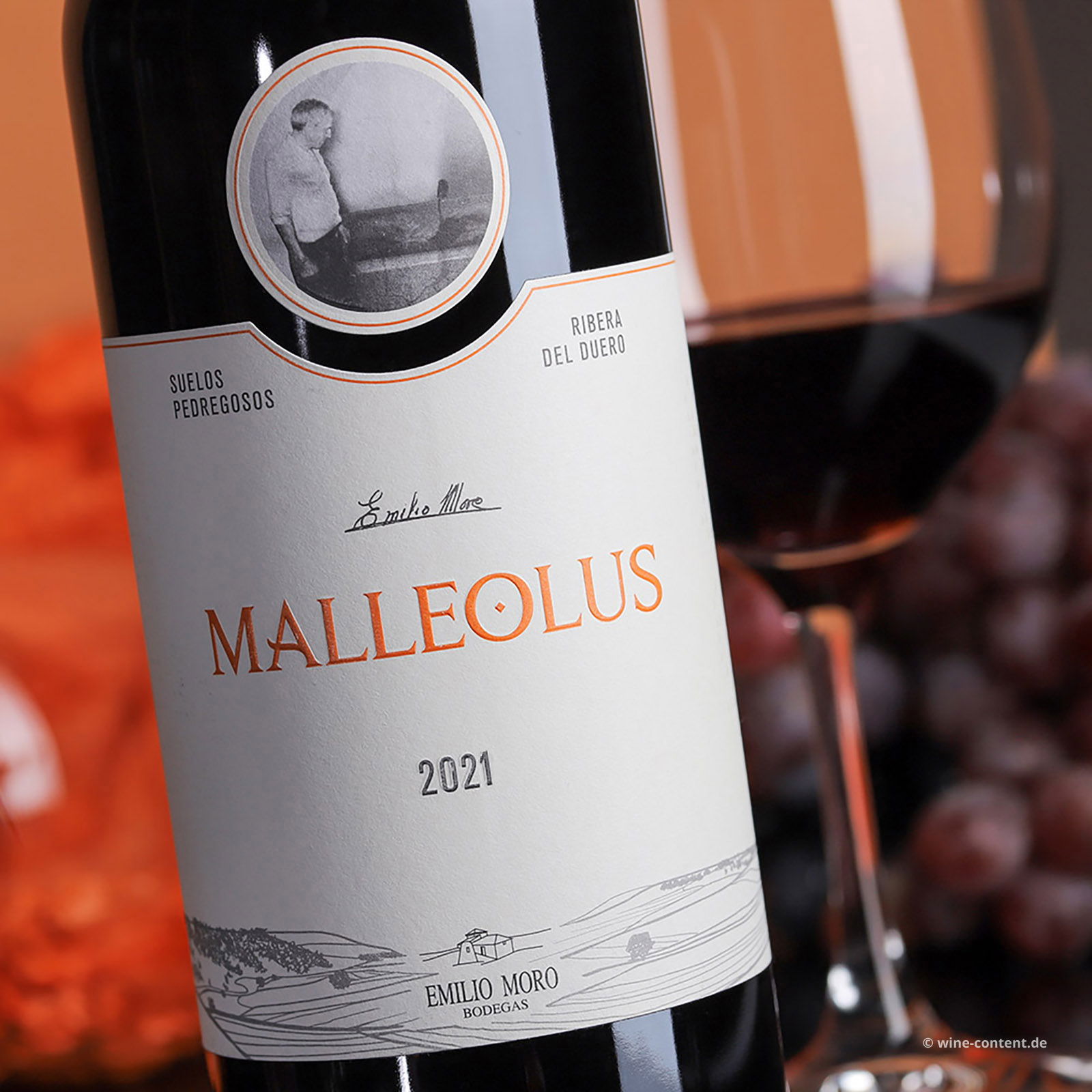 Tempranillo 2021 Malleolus