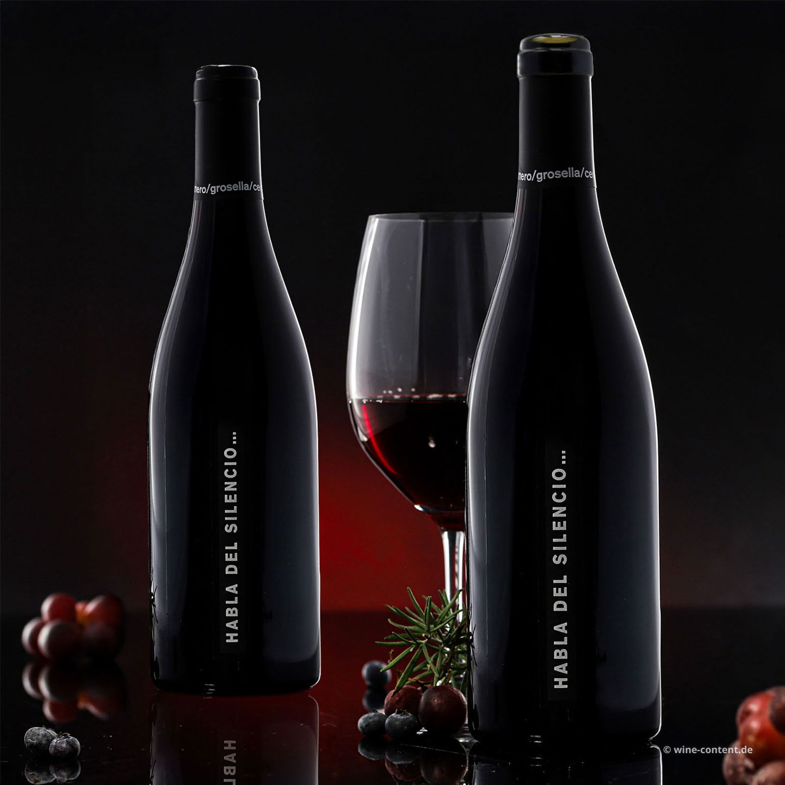 Habla del Silencio 2023