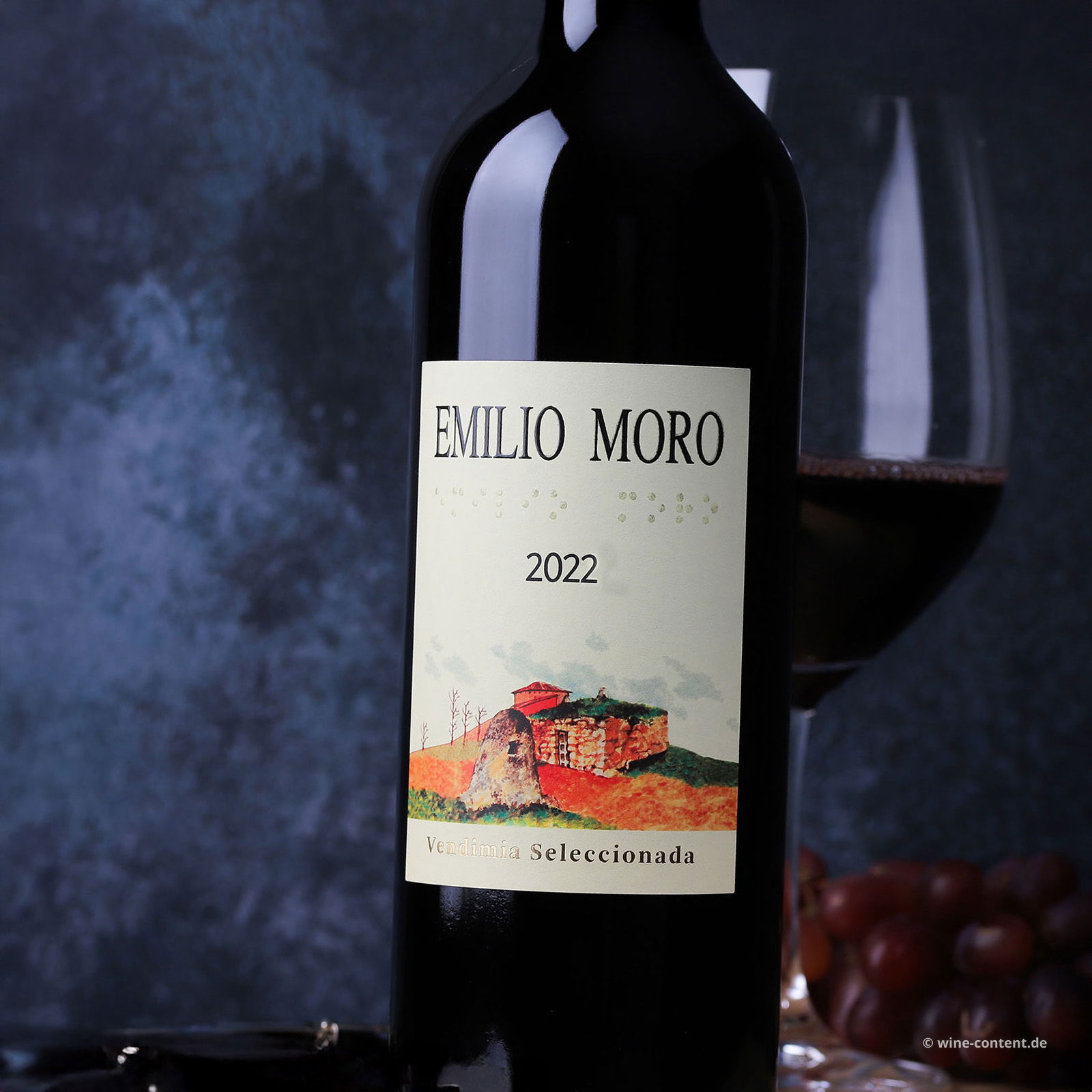 Tempranillo 2022 Vendimia Seleccionada