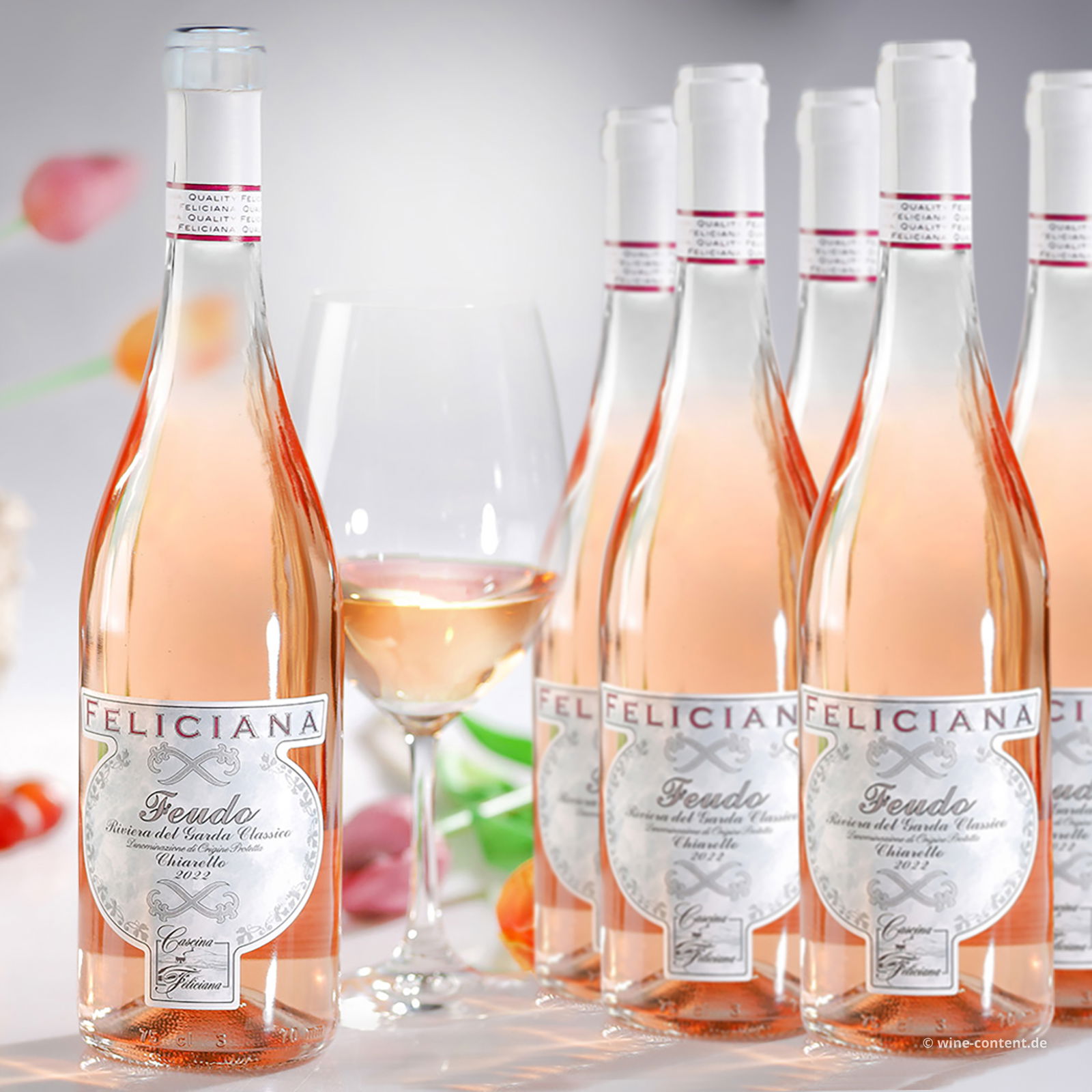 5+1 Sparpaket Chiaretto Garda Classico 2022 Feudo