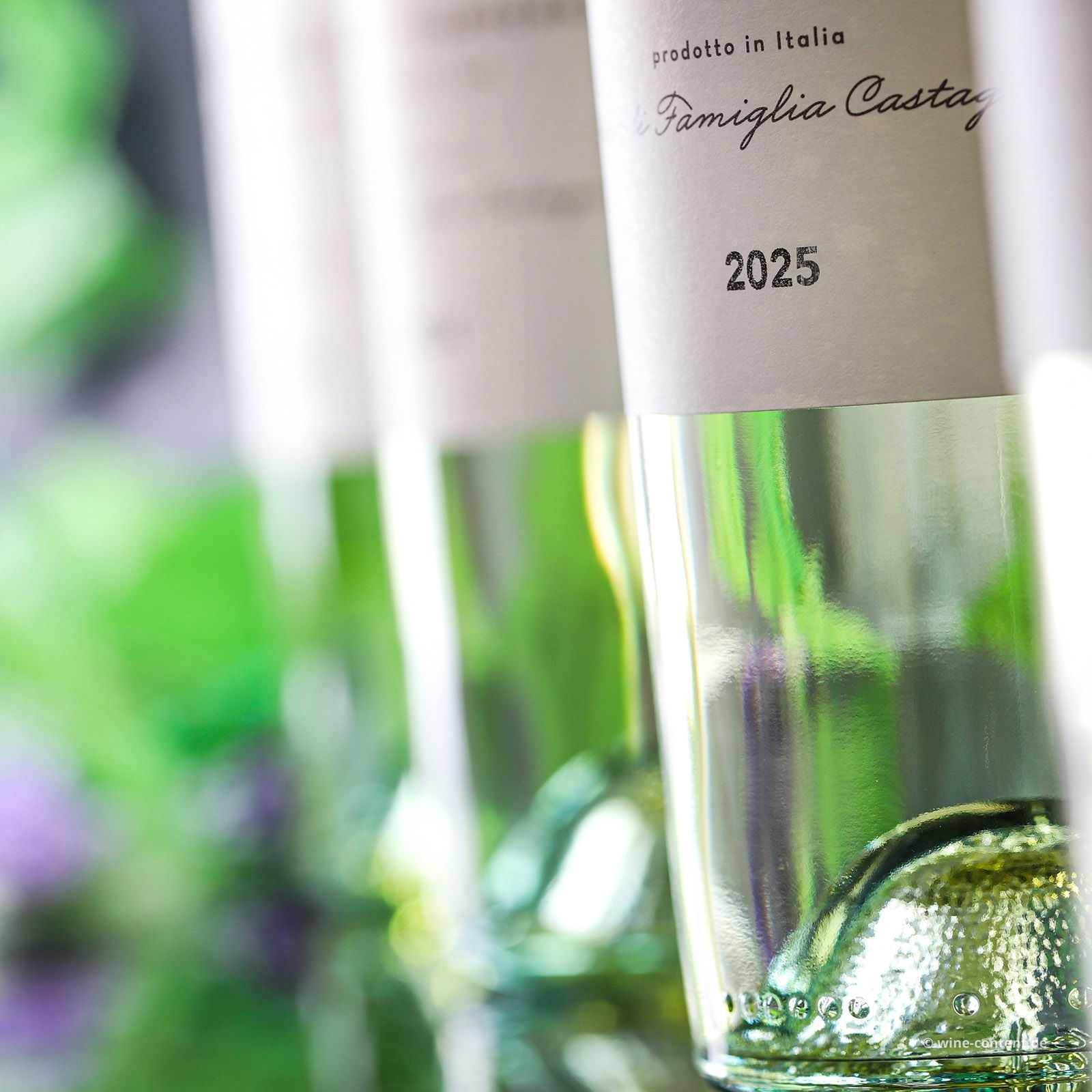 6er-Sparpaket Scaia Bianco 2025