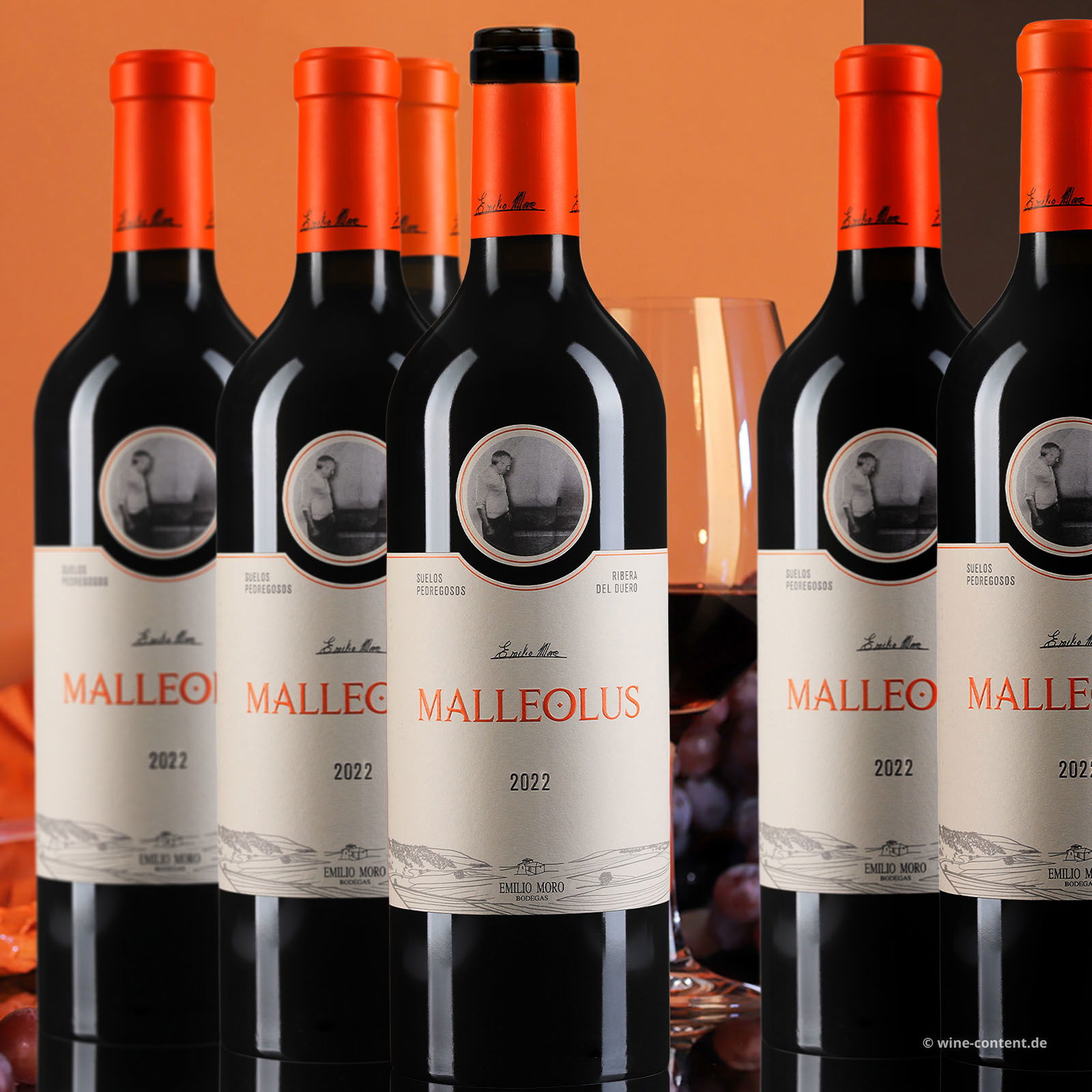 6er-Sparpaket Malleolus 2022